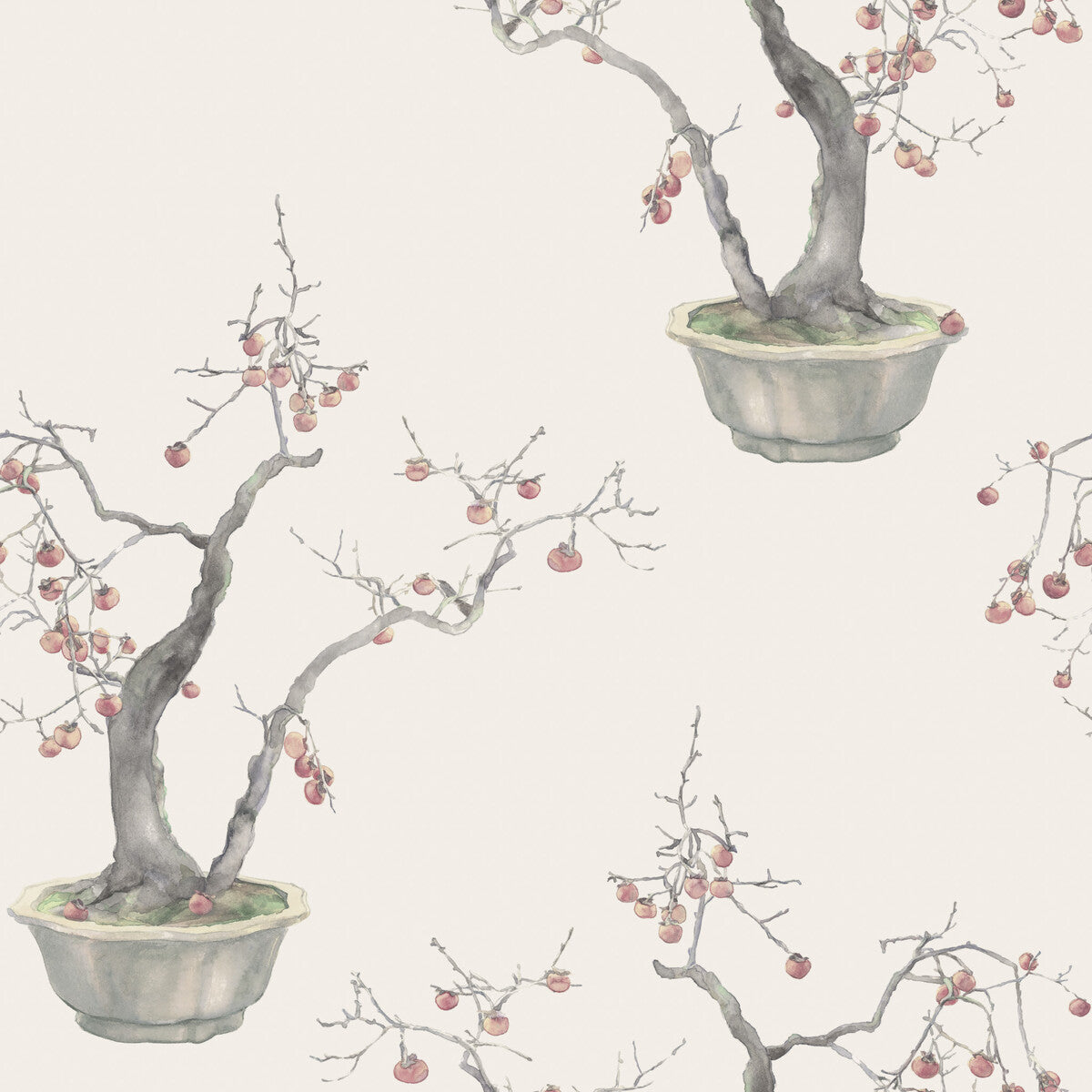 Kaki Persimmon Wallpaper in silver color - pattern number 126/2004.CS.0 - by Cole and Son in the Shinrin Yoku collection