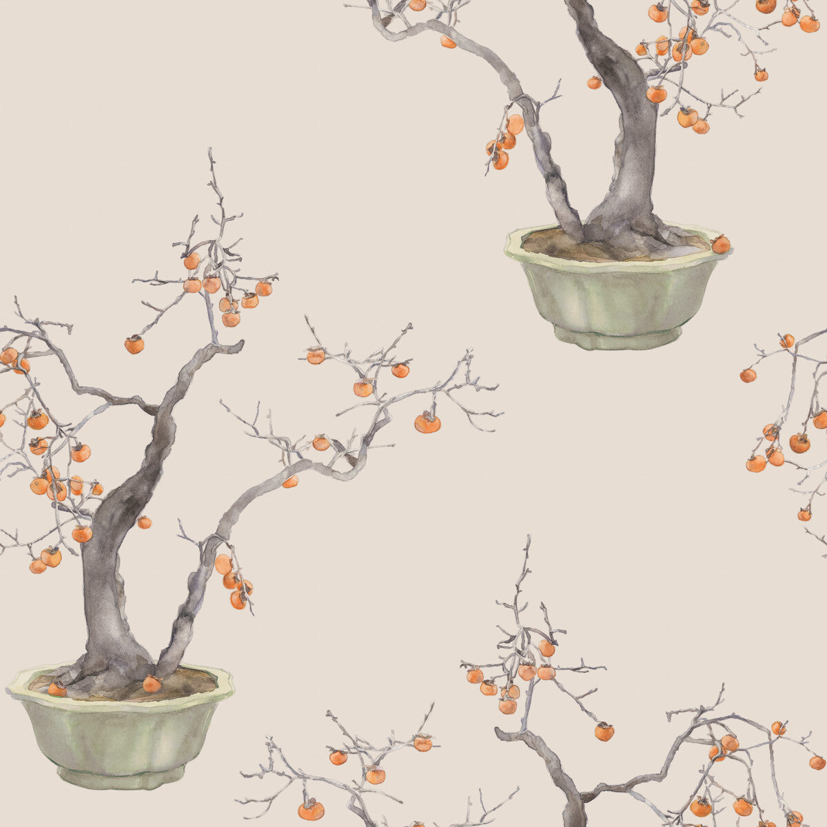 Kaki Persimmon Wallpaper in violet color - pattern number 126/2005.CS.0 - by Cole and Son in the Shinrin Yoku collection