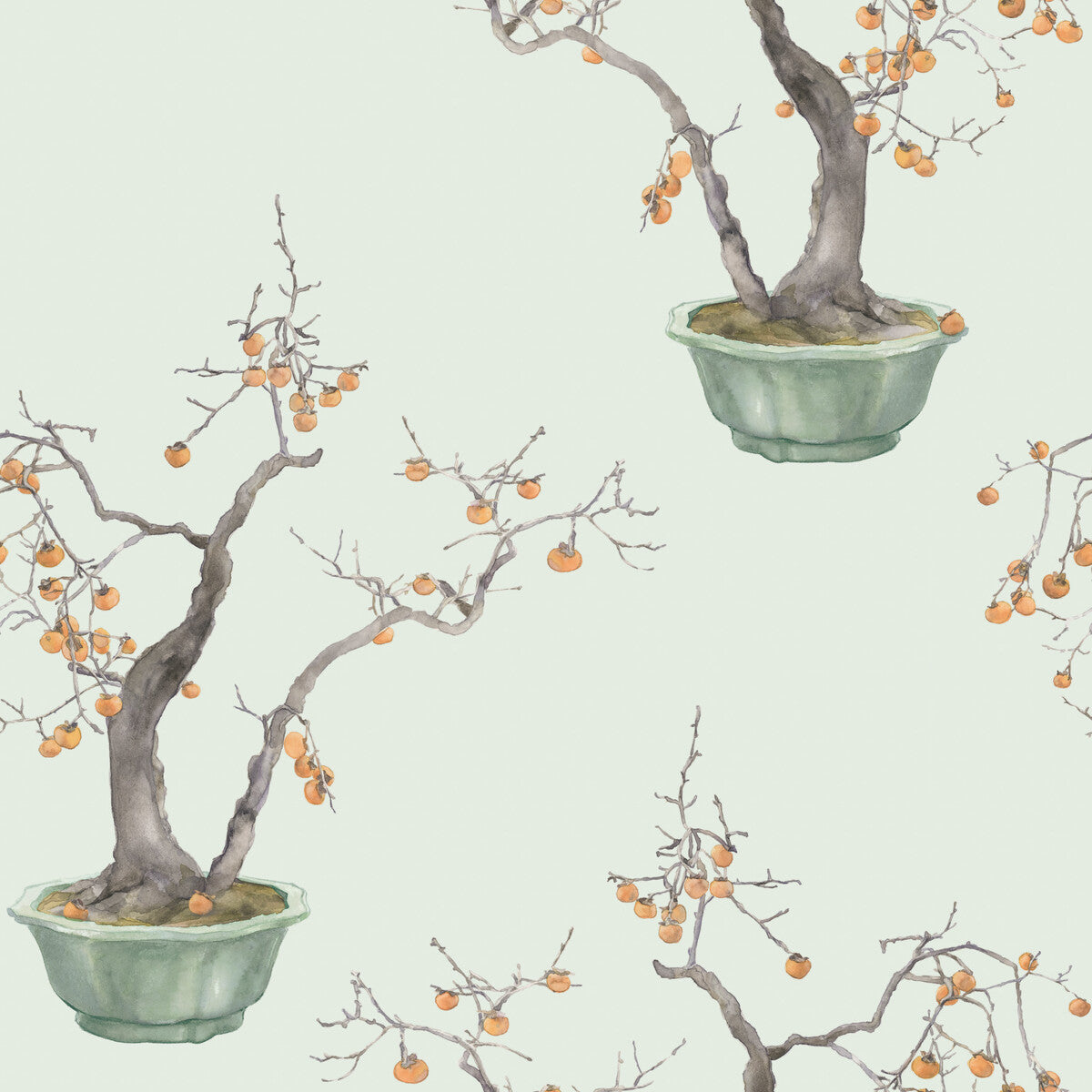 Kaki Persimmon Wallpaper in jade green color - pattern number 126/2006.CS.0 - by Cole and Son in the Shinrin Yoku collection
