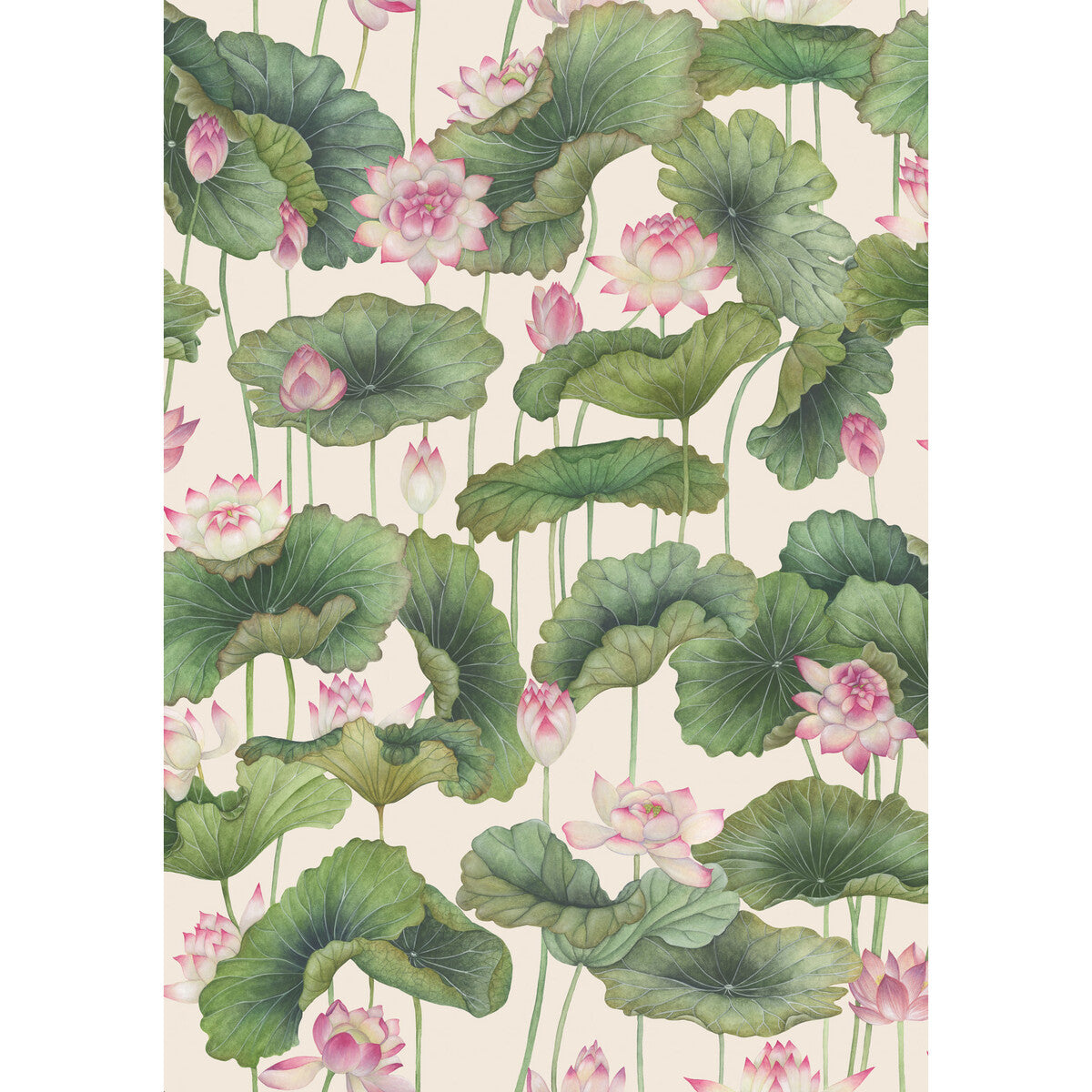 Lily Lotus Wallpaper in pink color - pattern number 126/9031.CS.0 - by Cole and Son in the Shinrin Yoku collection