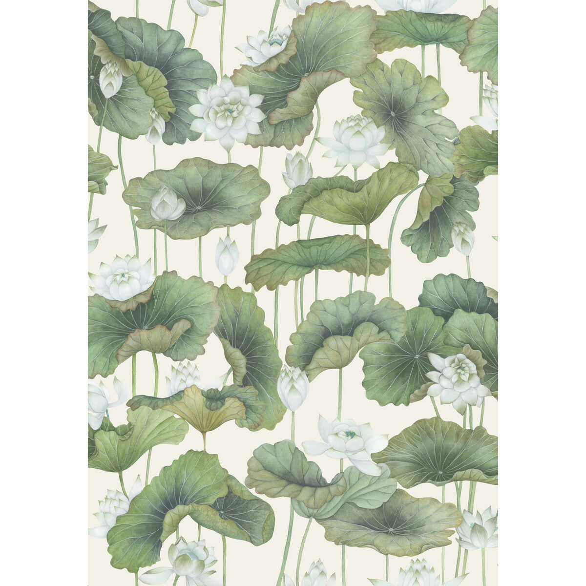 Lily Lotus Wallpaper in white/cream color - pattern number 126/9034.CS.0 - by Cole and Son in the Shinrin Yoku collection