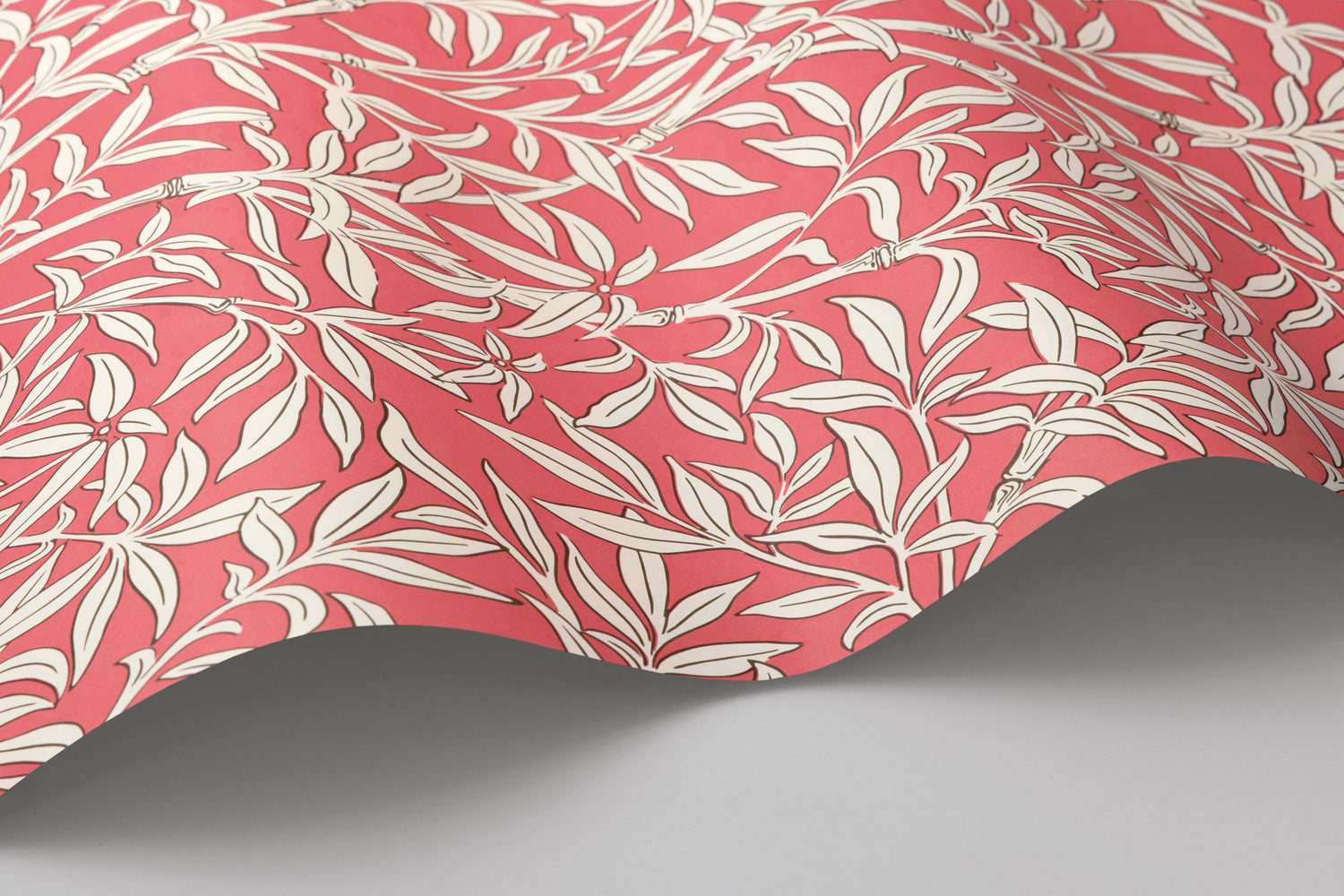 Bamboo Forest Wallpaper in chalk/rouge color - pattern number 127/1001.CS.0 - by Cole and Son in the Classics Vol I collection