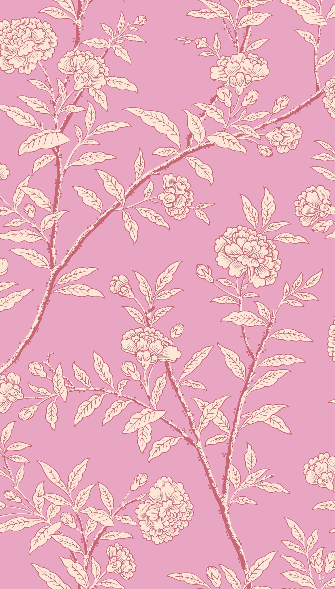 Roseberry Wallpaper in fuchsia color - pattern number 127/3017.CS.0 - by Cole and Son in the Classics Vol I collection