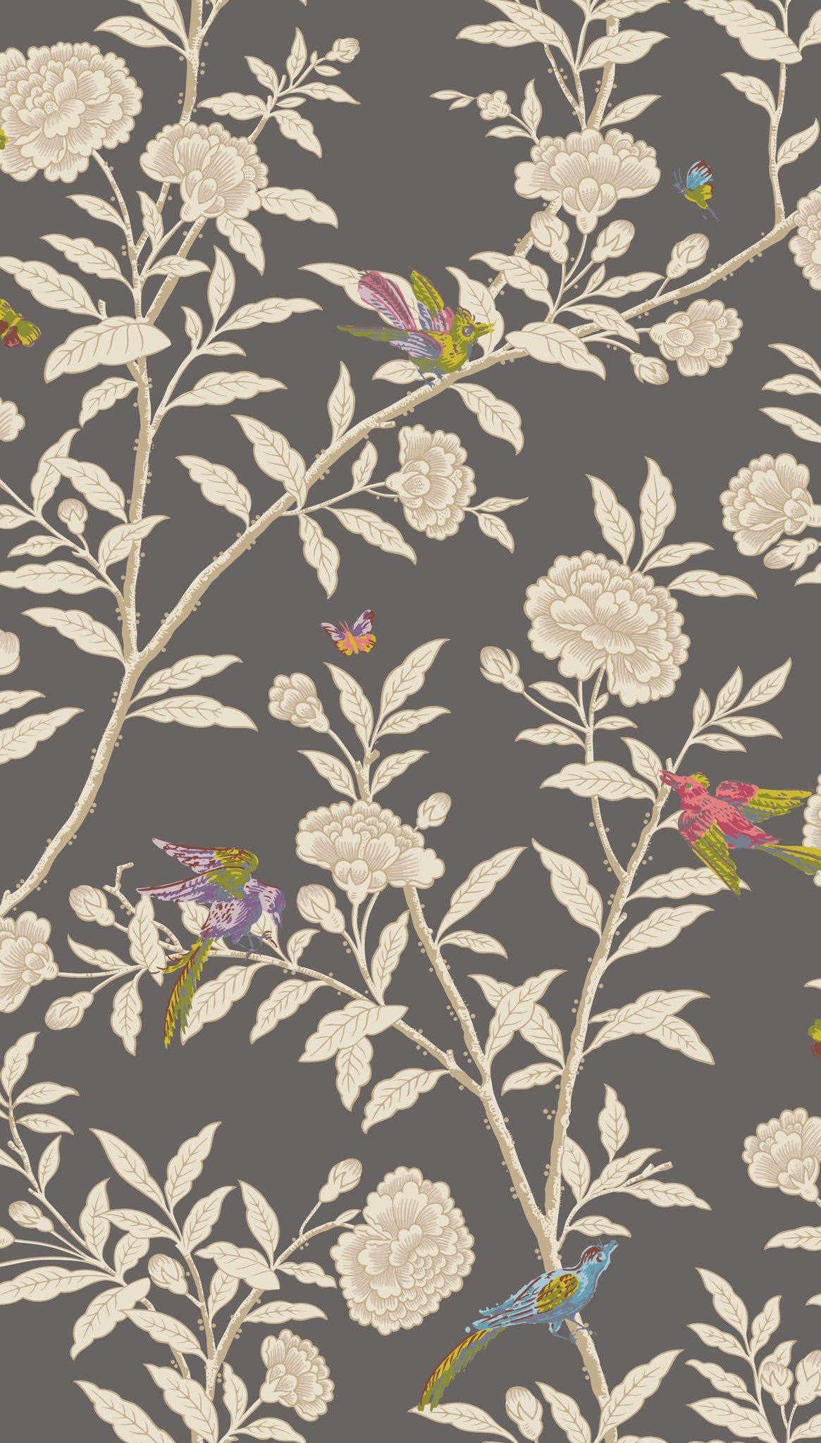 Roseberry with Birds Wallpaper in soft charcoal color - pattern number 127/4019.CS.0 - by Cole and Son in the Classics Vol I collection
