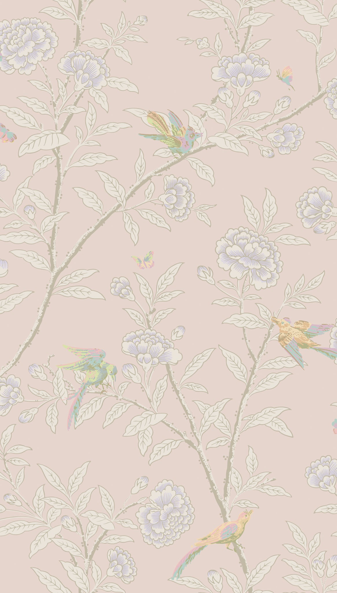Roseberry with Birds Wallpaper in pink color - pattern number 127/4020.CS.0 - by Cole and Son in the Classics Vol I collection
