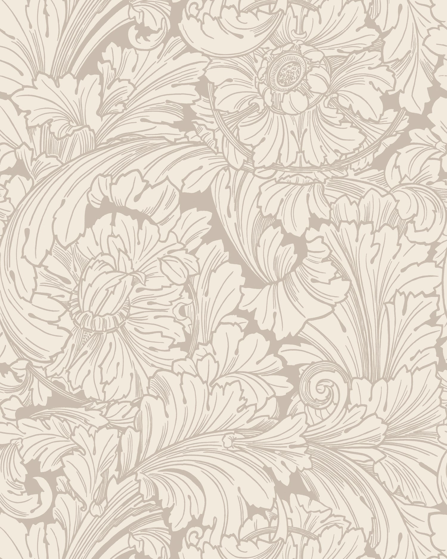 Acanthus Wallpaper in cream/pebble color - pattern number 127/6029.CS.0 - by Cole and Son in the Classics Vol I collection
