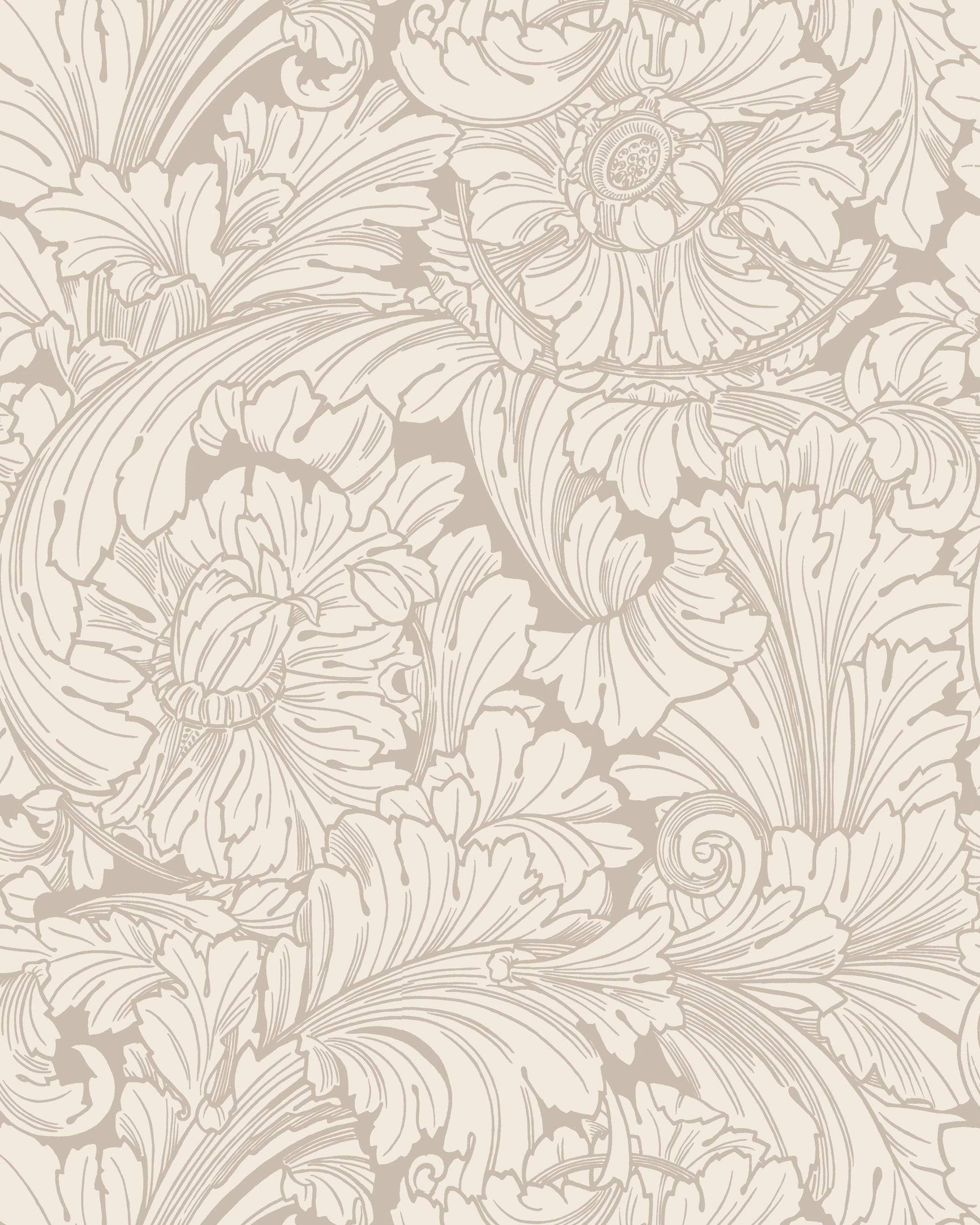 Acanthus Wallpaper in cream/pebble color - pattern number 127/6029.CS.0 - by Cole and Son in the Classics Vol I collection