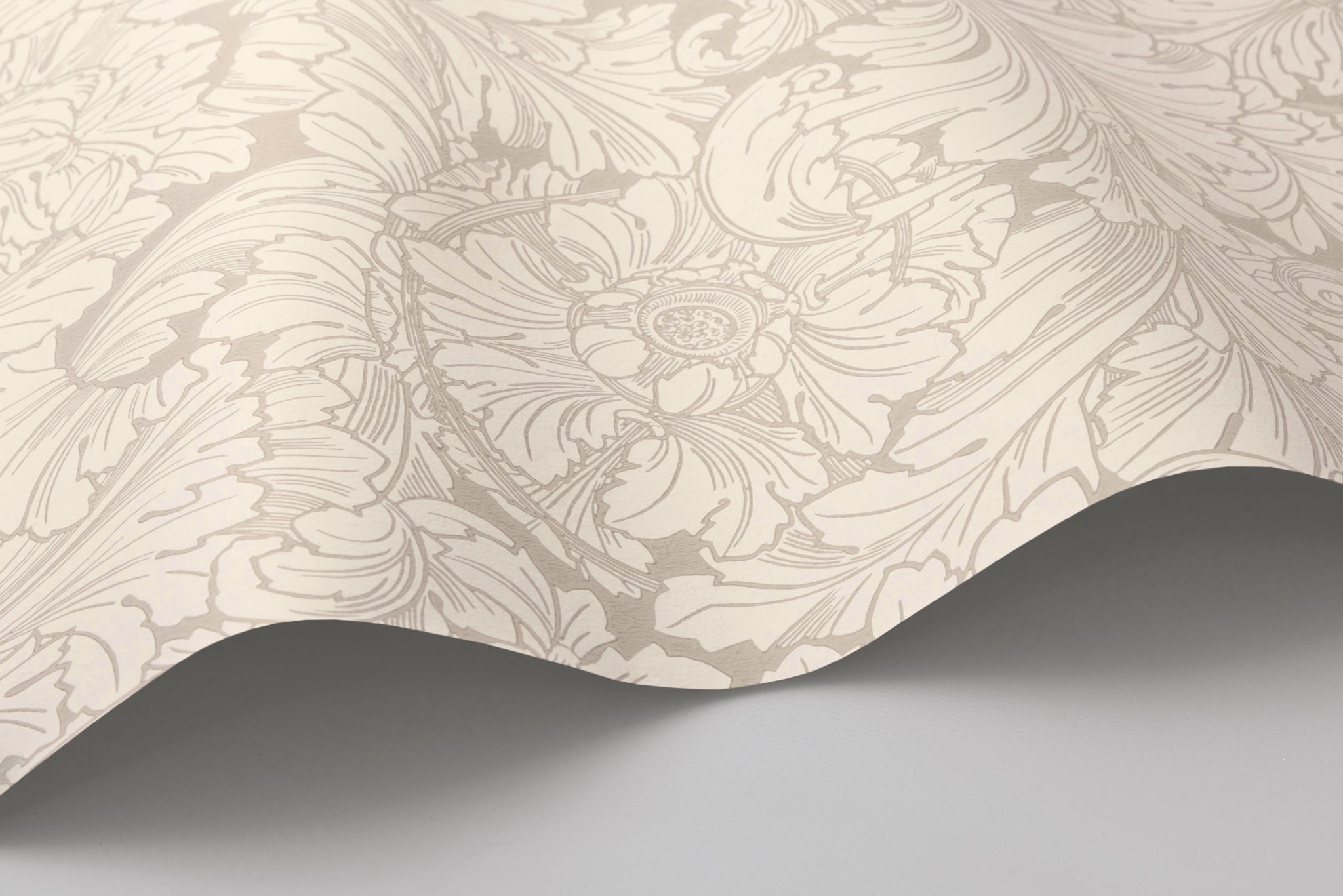 Acanthus Wallpaper in cream/pebble color - pattern number 127/6029.CS.0 - by Cole and Son in the Classics Vol I collection