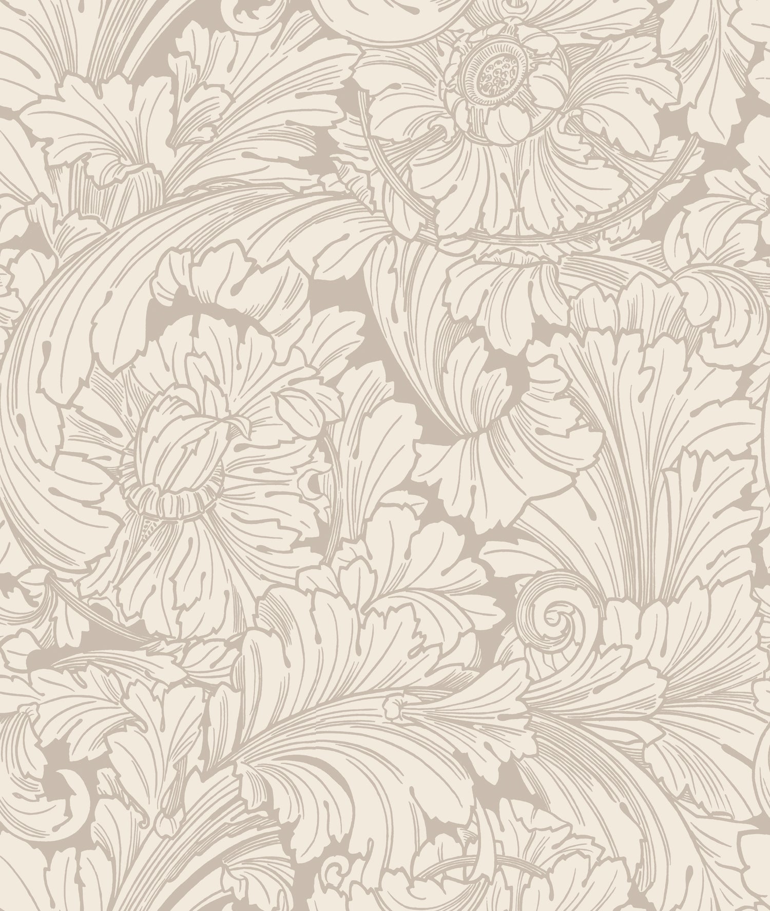 Acanthus Wallpaper in cream/pebble color - pattern number 127/6029.CS.0 - by Cole and Son in the Classics Vol I collection