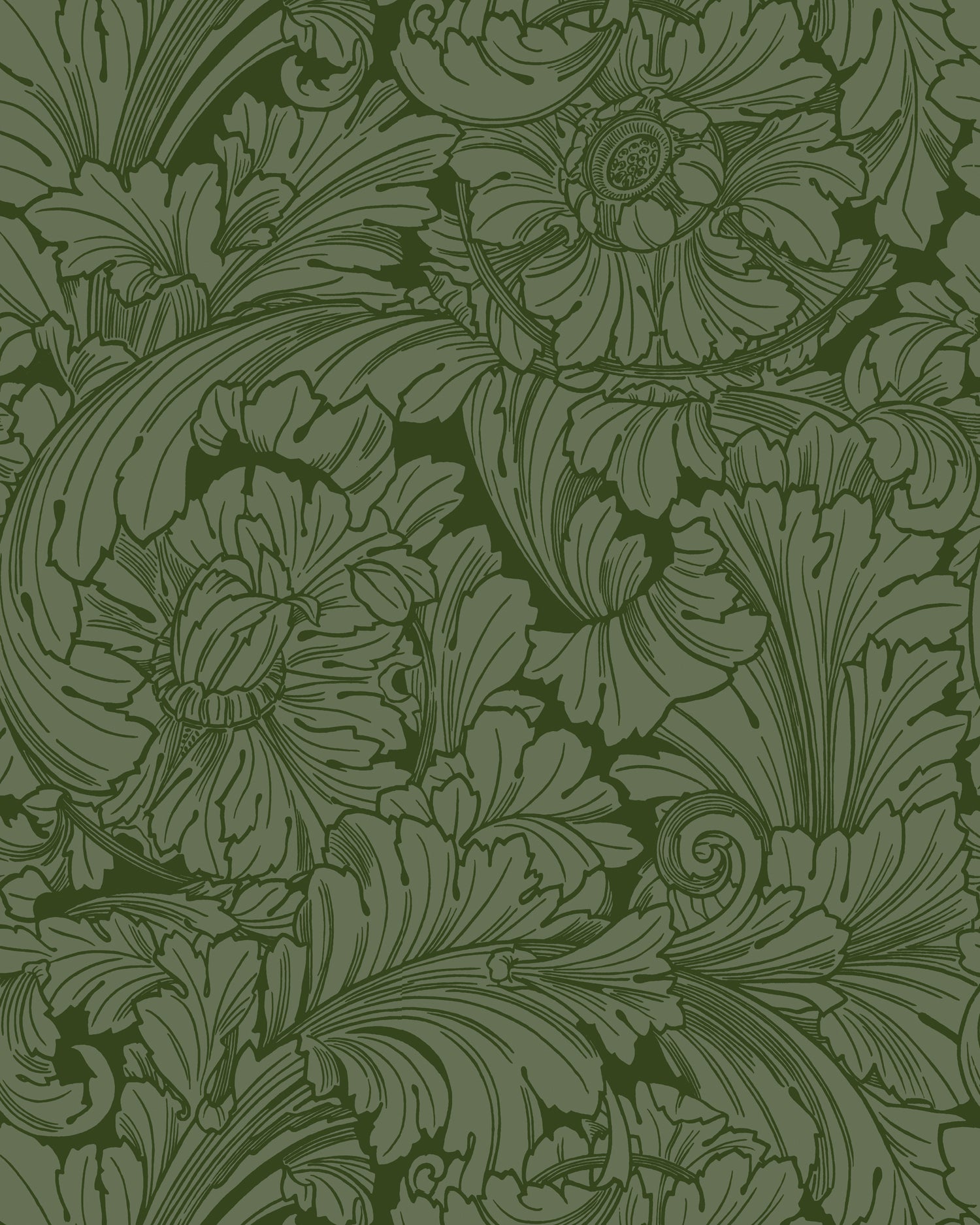 Acanthus Wallpaper in forest color - pattern number 127/6031.CS.0 - by Cole and Son in the Classics Vol I collection