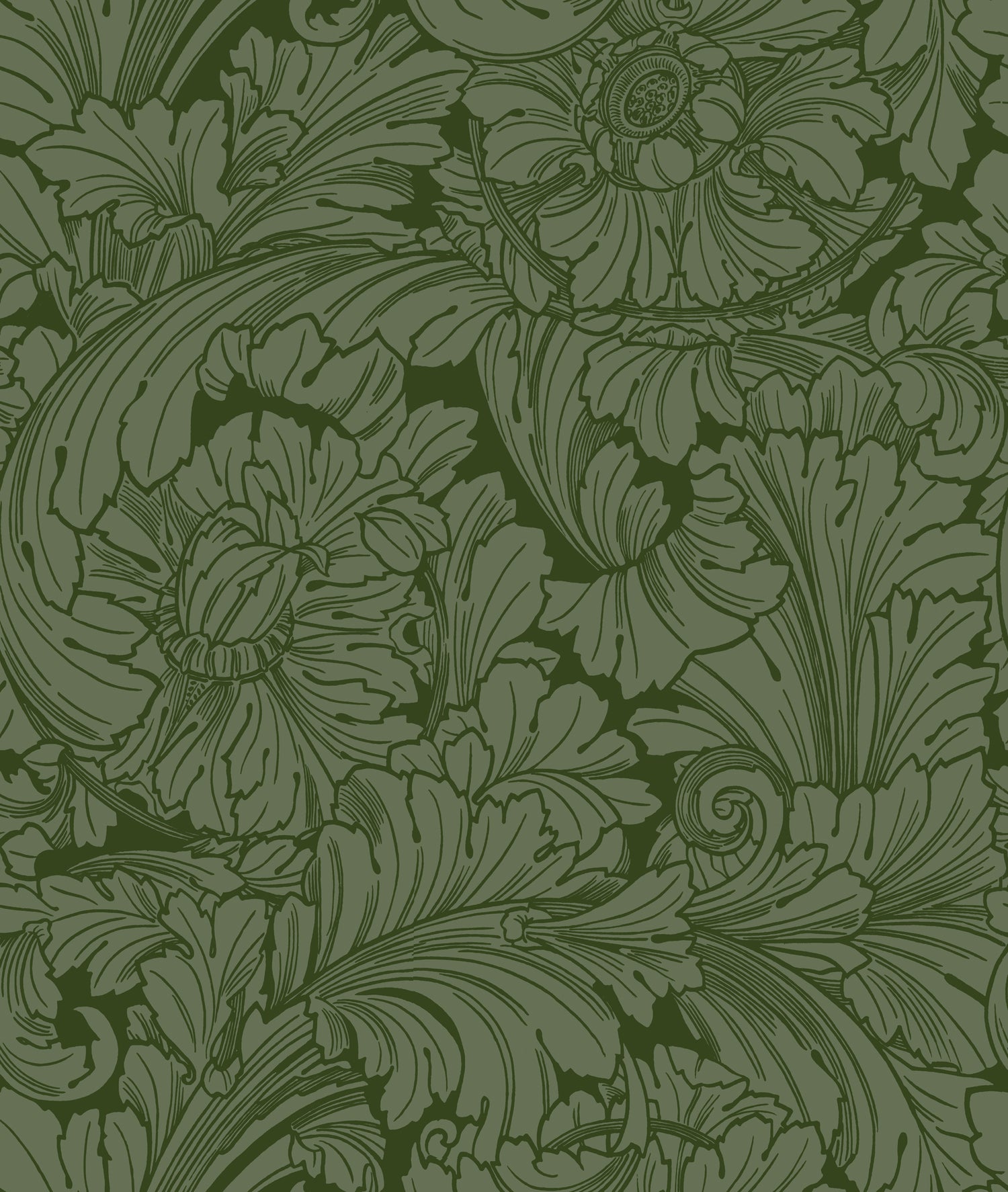 Acanthus Wallpaper in forest color - pattern number 127/6031.CS.0 - by Cole and Son in the Classics Vol I collection
