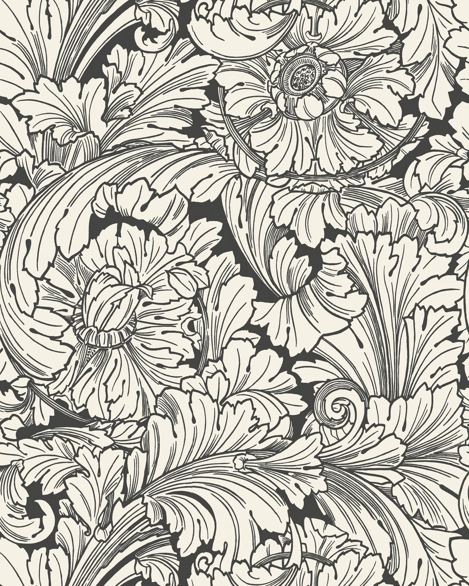 Acanthus Wallpaper in soot/snow color - pattern number 127/6032.CS.0 - by Cole and Son in the Classics Vol I collection