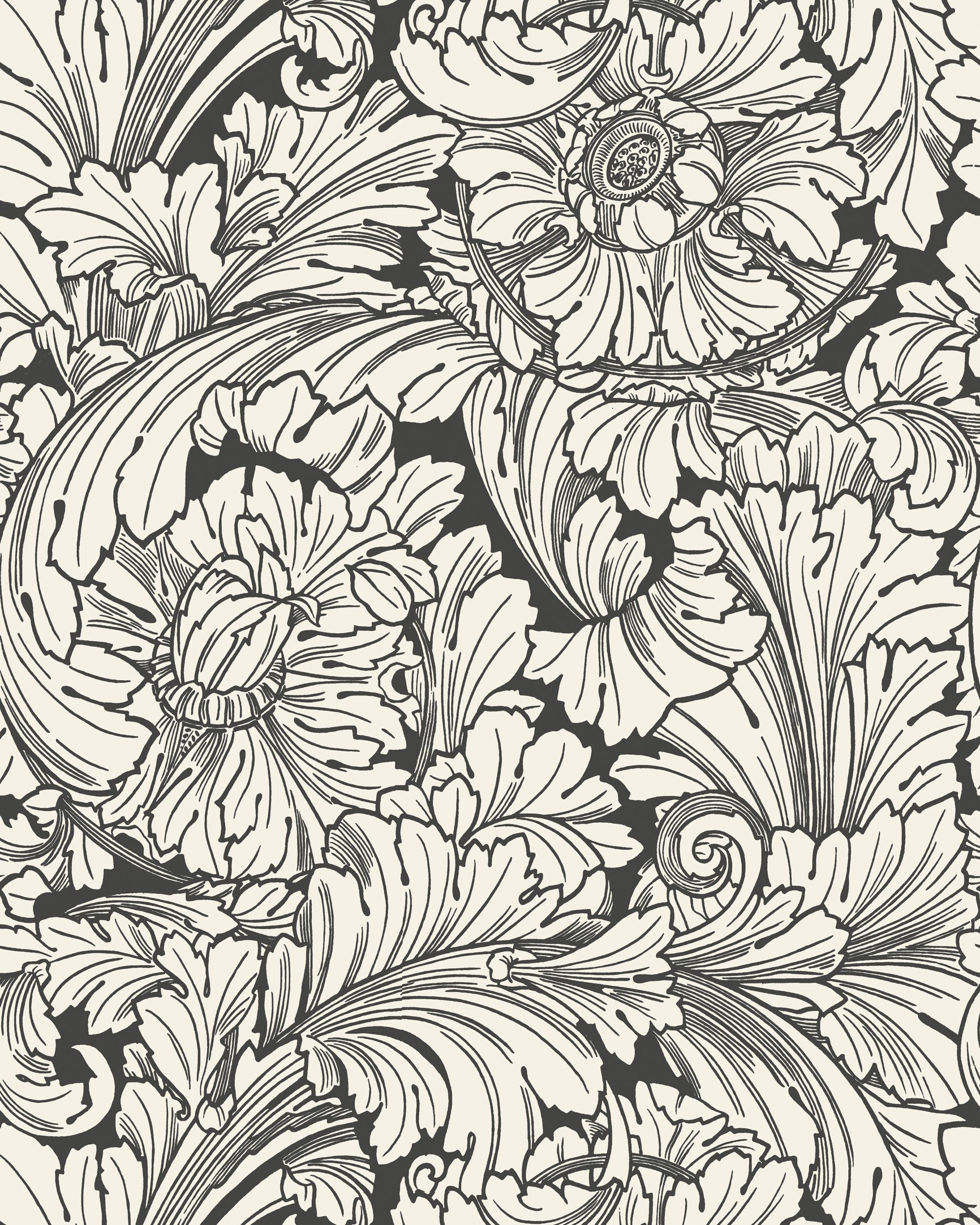 Acanthus Wallpaper in soot/snow color - pattern number 127/6032.CS.0 - by Cole and Son in the Classics Vol I collection