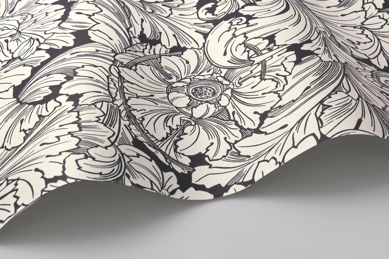 Acanthus Wallpaper in soot/snow color - pattern number 127/6032.CS.0 - by Cole and Son in the Classics Vol I collection