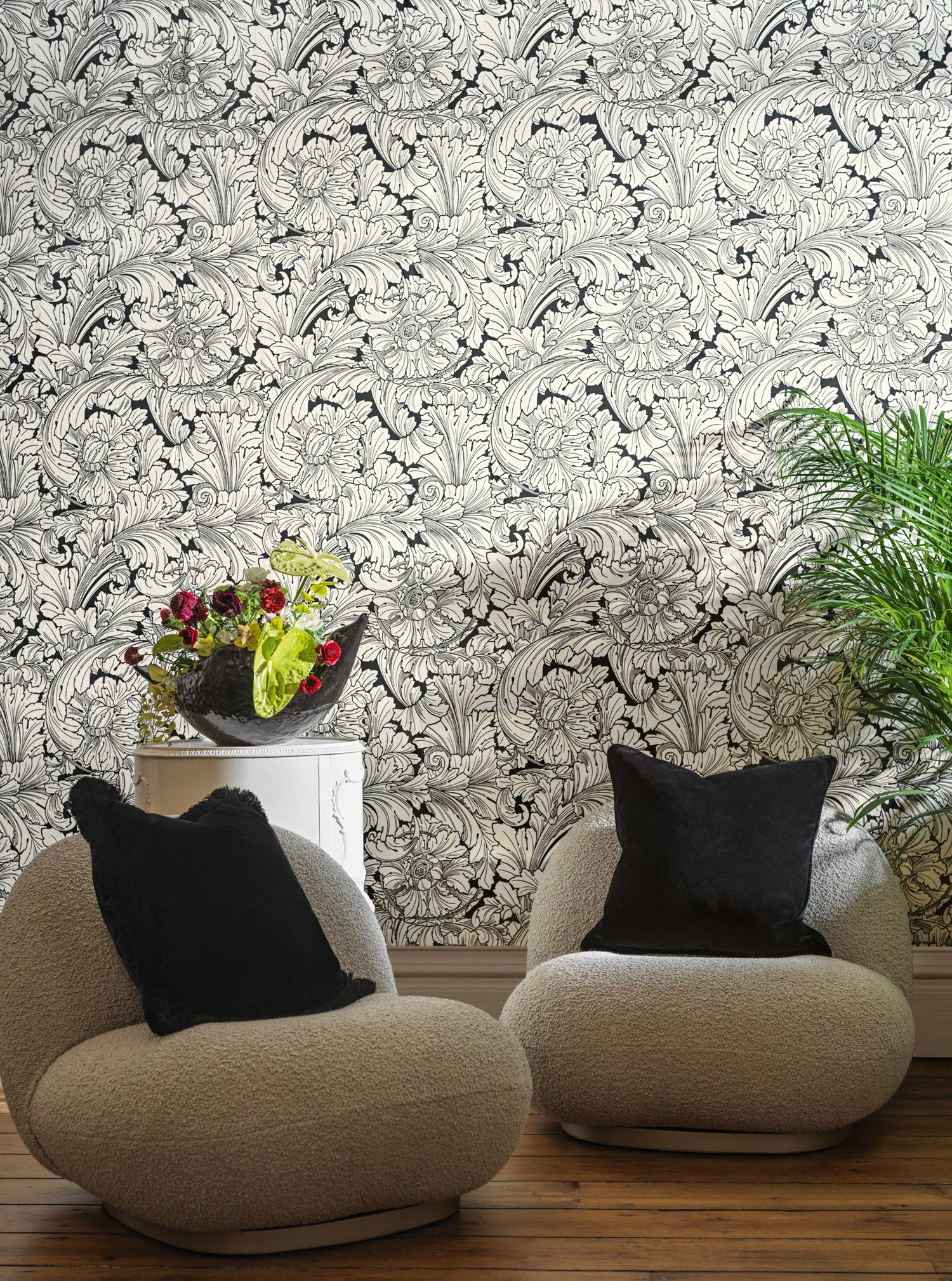 Acanthus Wallpaper in soot/snow color - pattern number 127/6032.CS.0 - by Cole and Son in the Classics Vol I collection