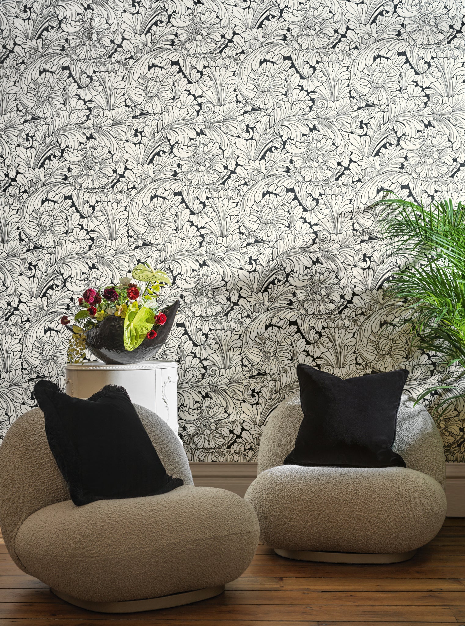 Acanthus Wallpaper in soot/snow color - pattern number 127/6032.CS.0 - by Cole and Son in the Classics Vol I collection