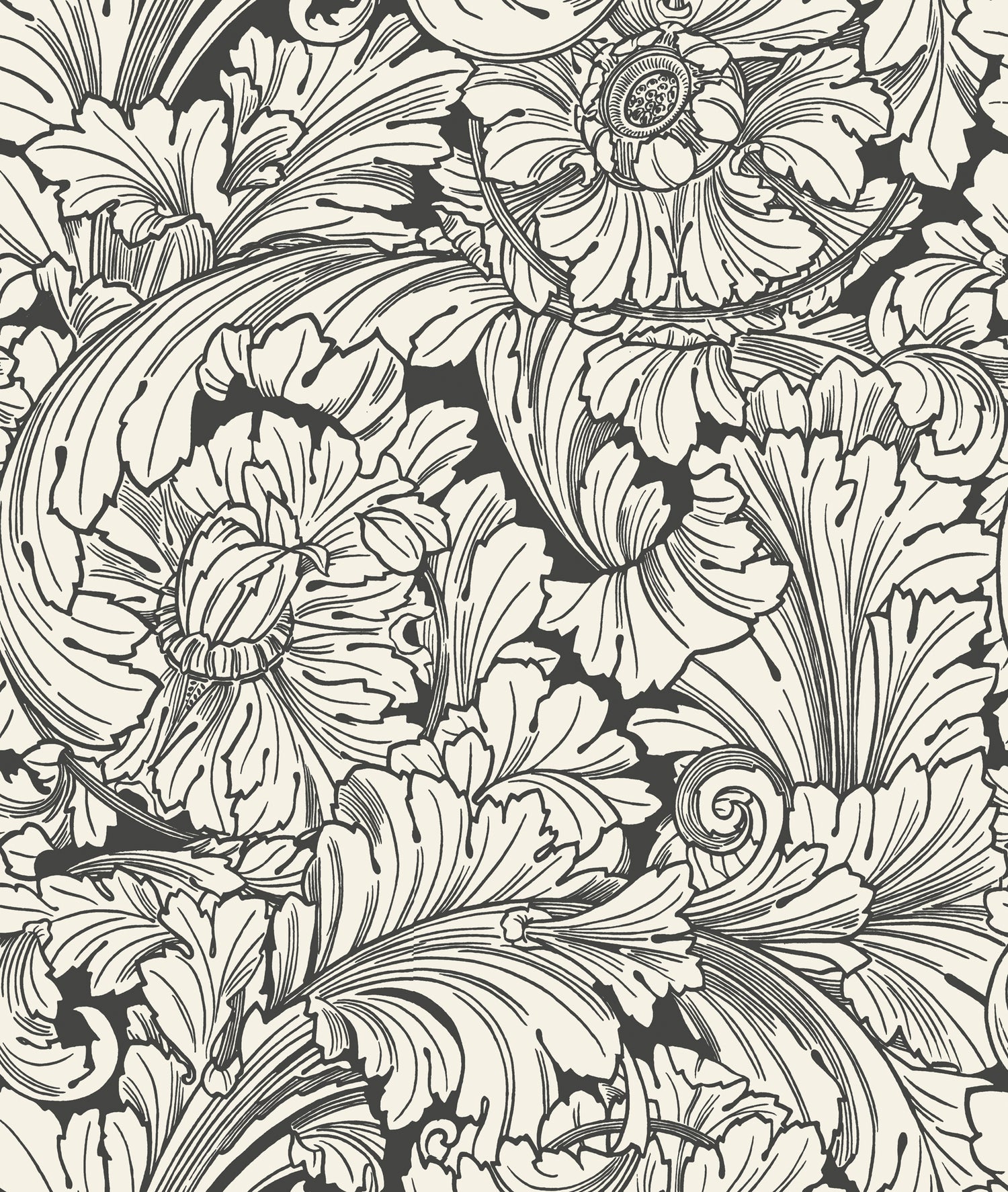 Acanthus Wallpaper in soot/snow color - pattern number 127/6032.CS.0 - by Cole and Son in the Classics Vol I collection