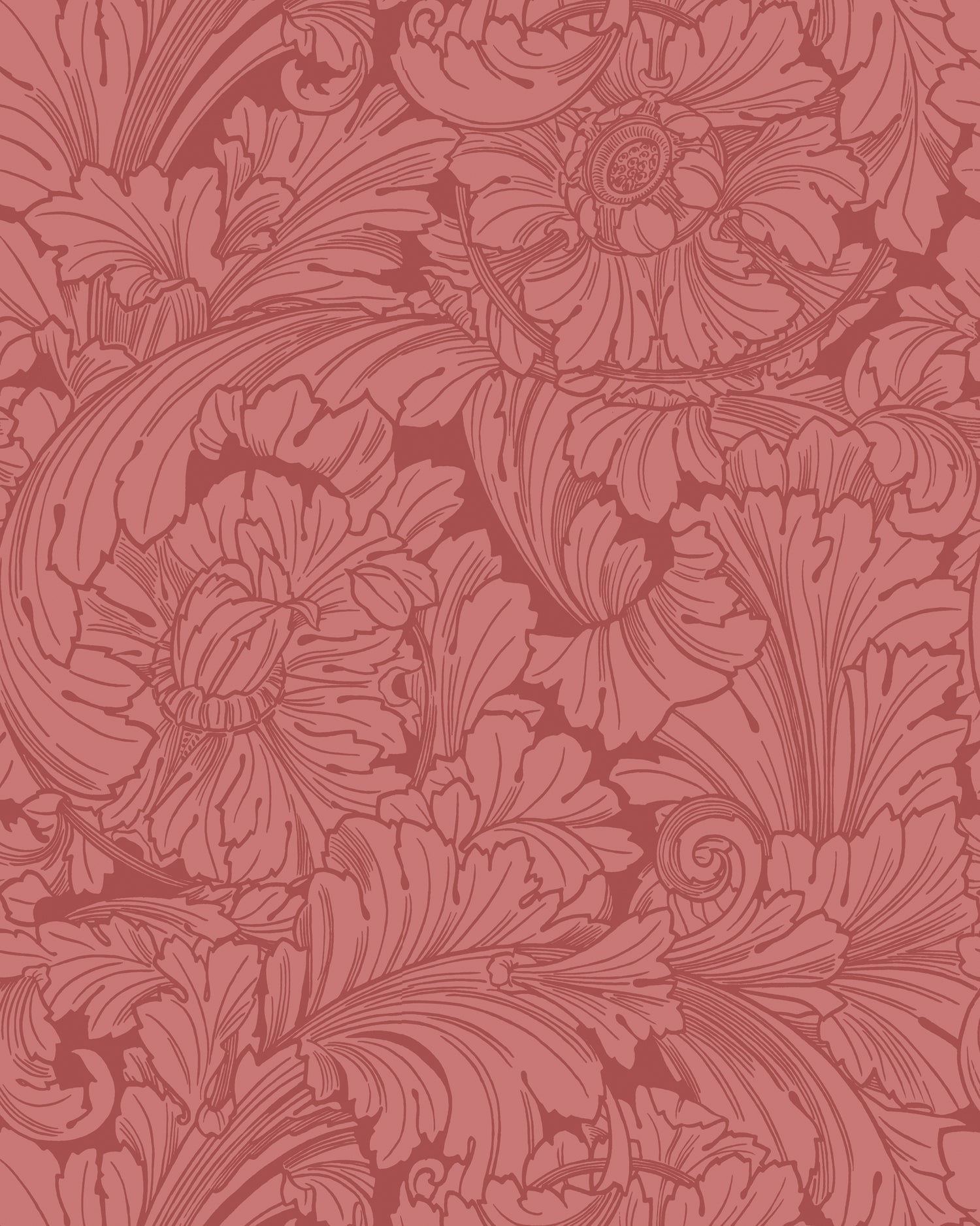 Acanthus Wallpaper in stately home red color - pattern number 127/6033.CS.0 - by Cole and Son in the Classics Vol I collection