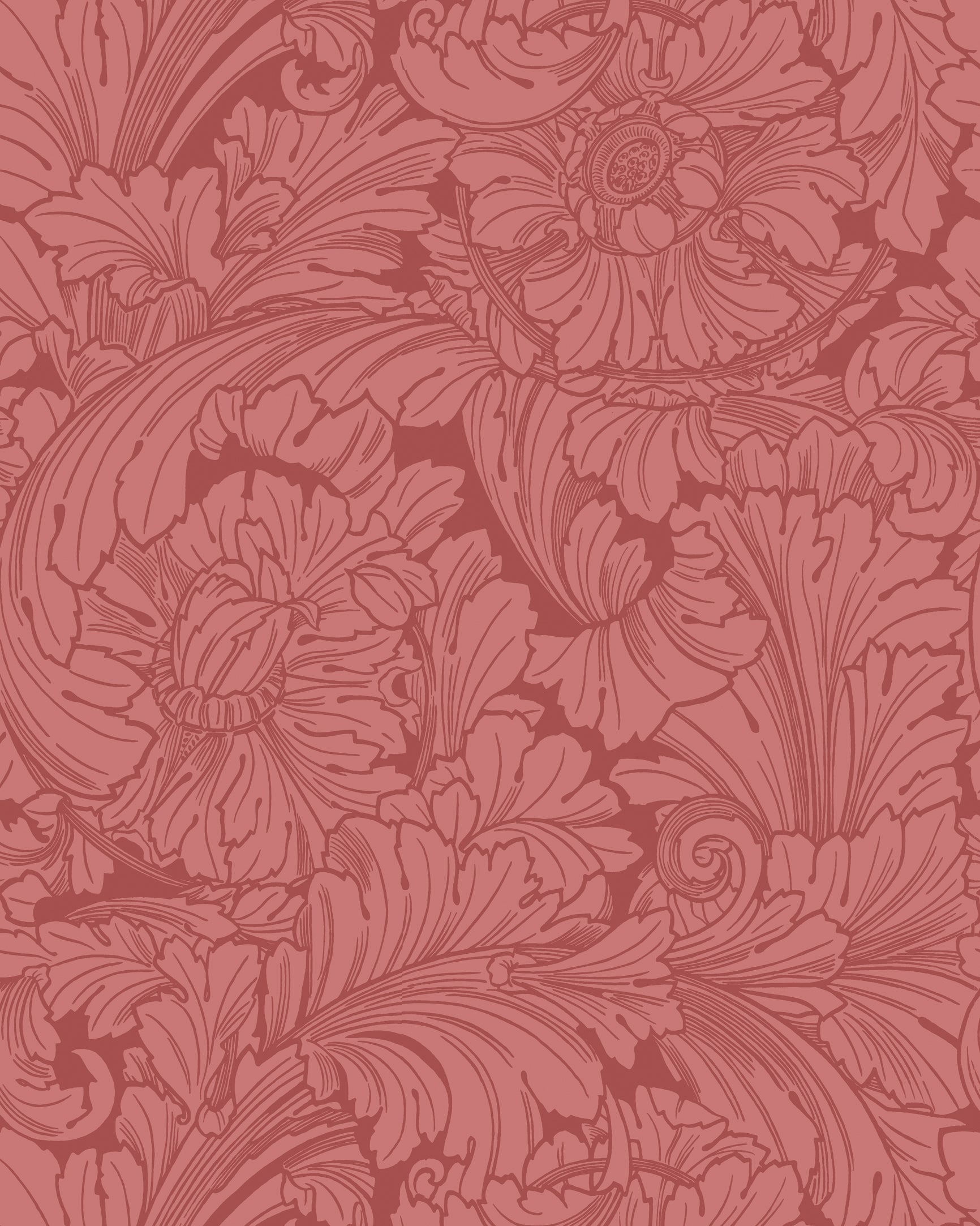 Acanthus Wallpaper in stately home red color - pattern number 127/6033.CS.0 - by Cole and Son in the Classics Vol I collection