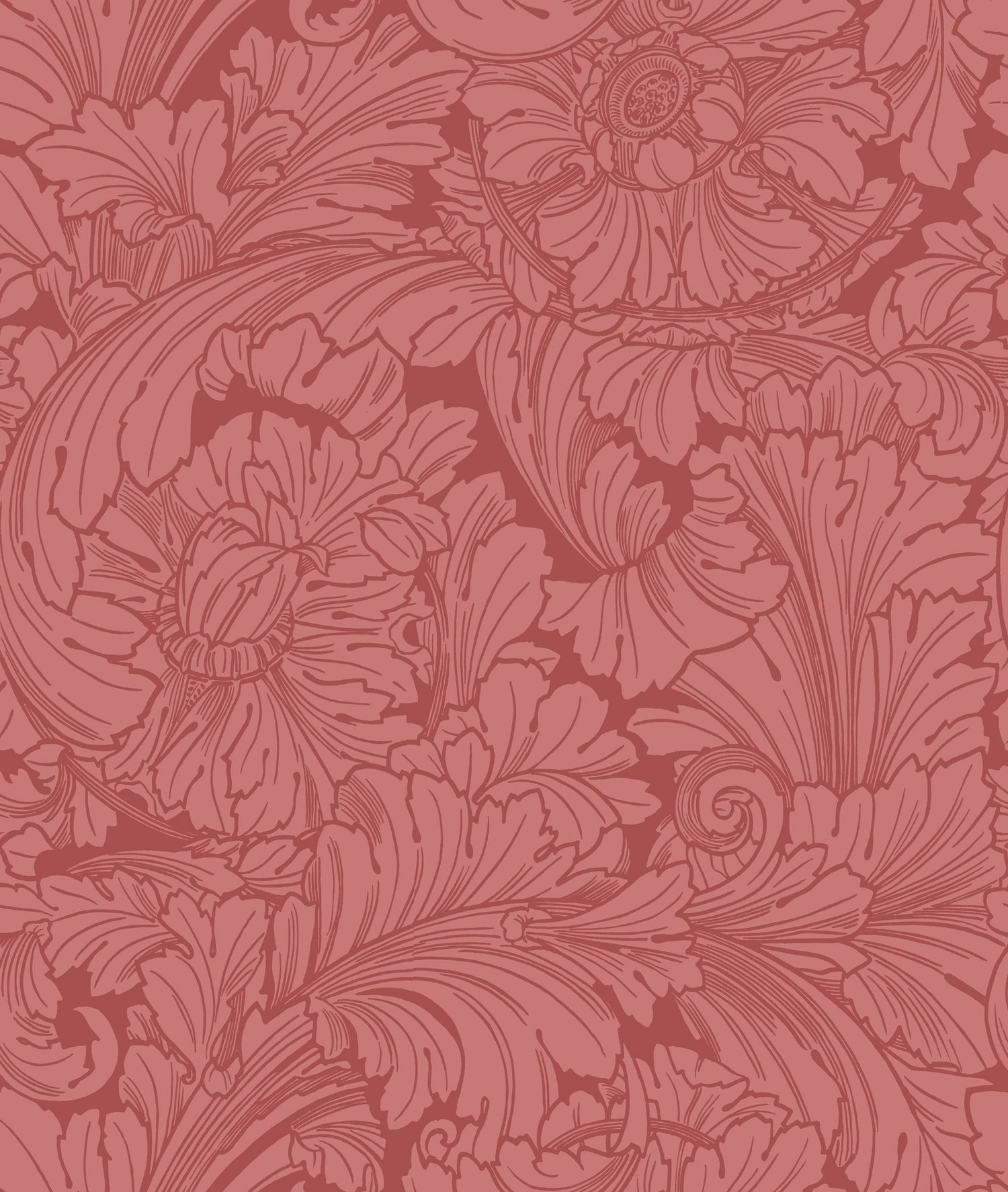 Acanthus Wallpaper in stately home red color - pattern number 127/6033.CS.0 - by Cole and Son in the Classics Vol I collection