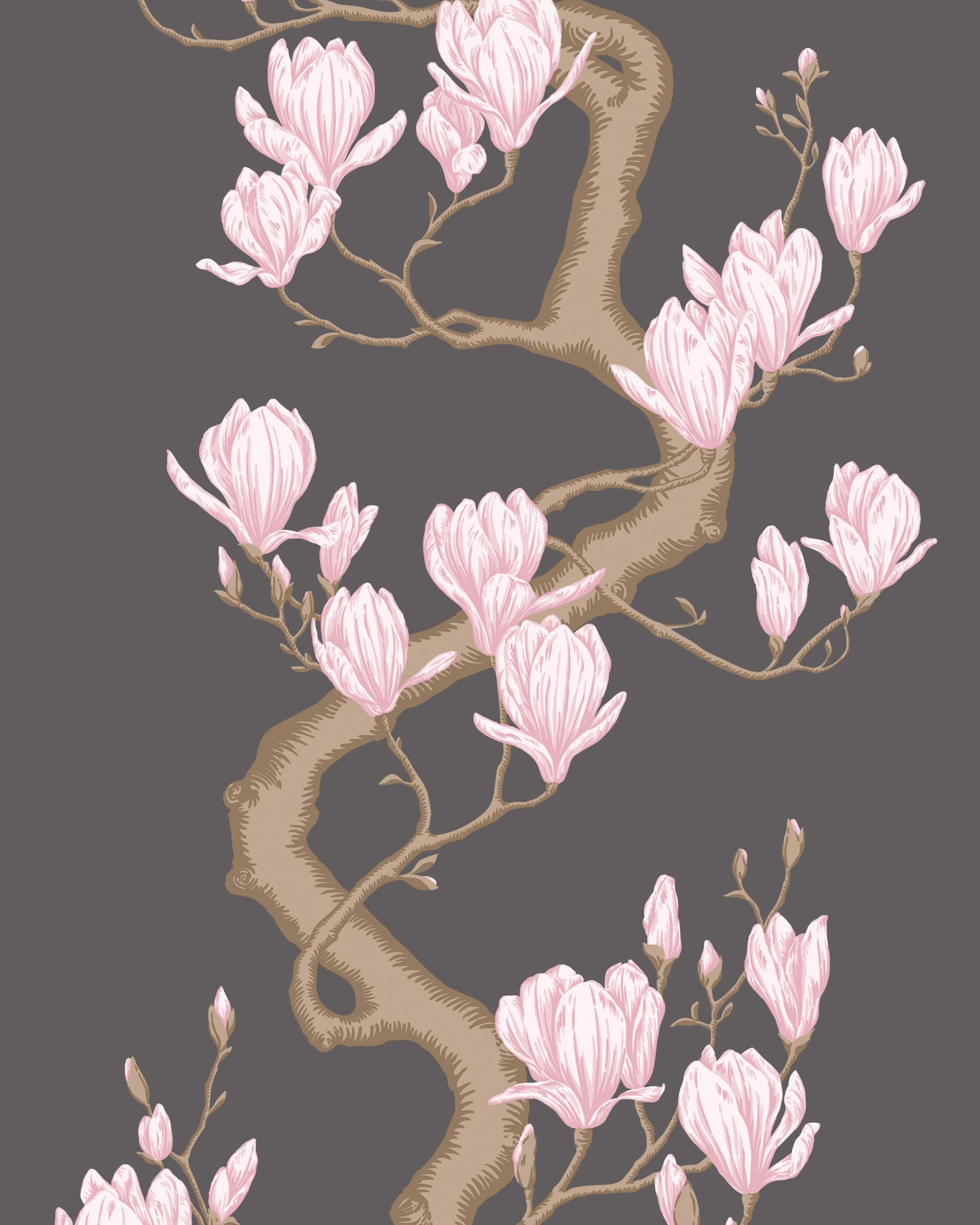 Magnolia Tree Wallpaper in charcoal/pink color - pattern number 128/1001.CS.0 - by Cole and Son in the Classics Vol II collection