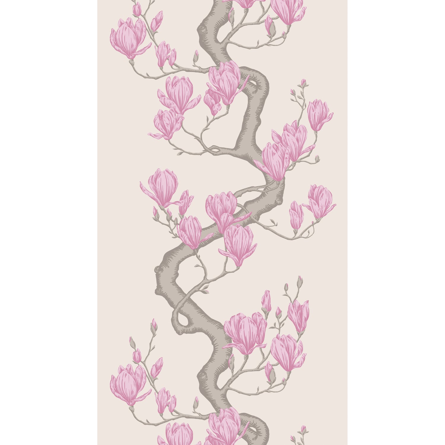 Magnolia Tree Wallpaper in parchment color - pattern number 128/1002.CS.0 - by Cole and Son in the Classics Vol II collection