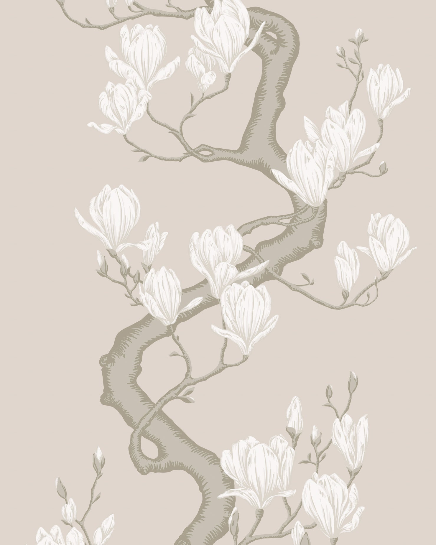 Magnolia Tree Wallpaper in soft cream color - pattern number 128/1003.CS.0 - by Cole and Son in the Classics Vol II collection