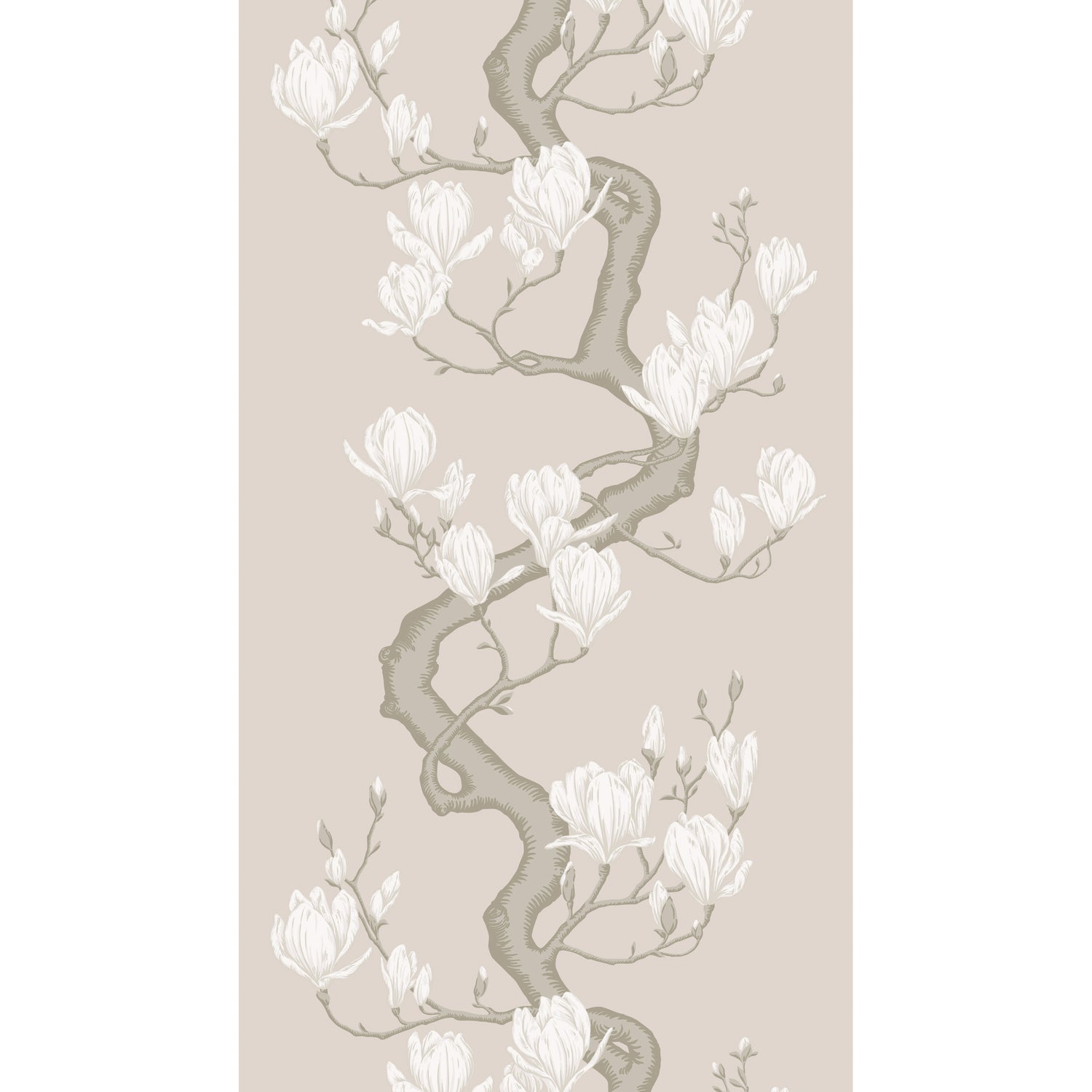 Magnolia Tree Wallpaper in soft cream color - pattern number 128/1003.CS.0 - by Cole and Son in the Classics Vol II collection