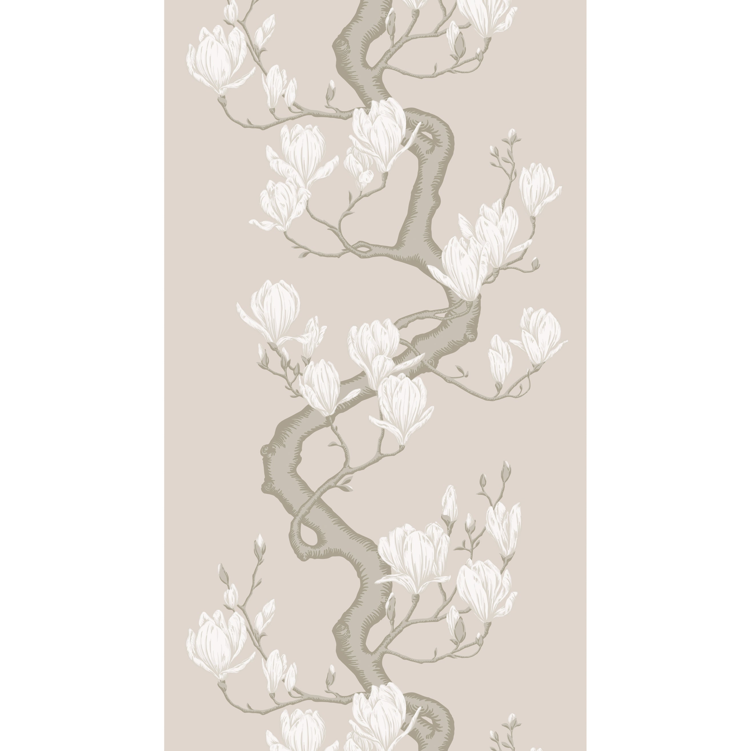 Magnolia Tree Wallpaper in soft cream color - pattern number 128/1003.CS.0 - by Cole and Son in the Classics Vol II collection