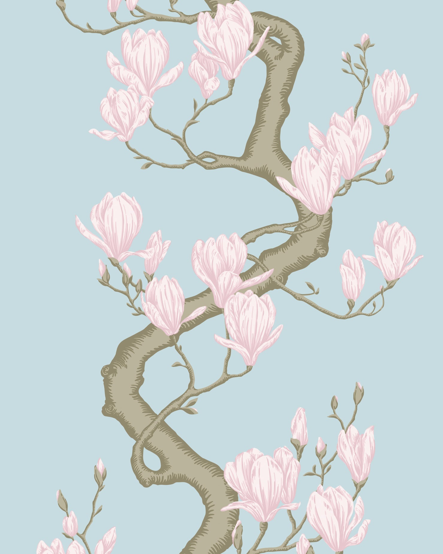 Magnolia Tree Wallpaper in sky blue color - pattern number 128/1004.CS.0 - by Cole and Son in the Classics Vol II collection