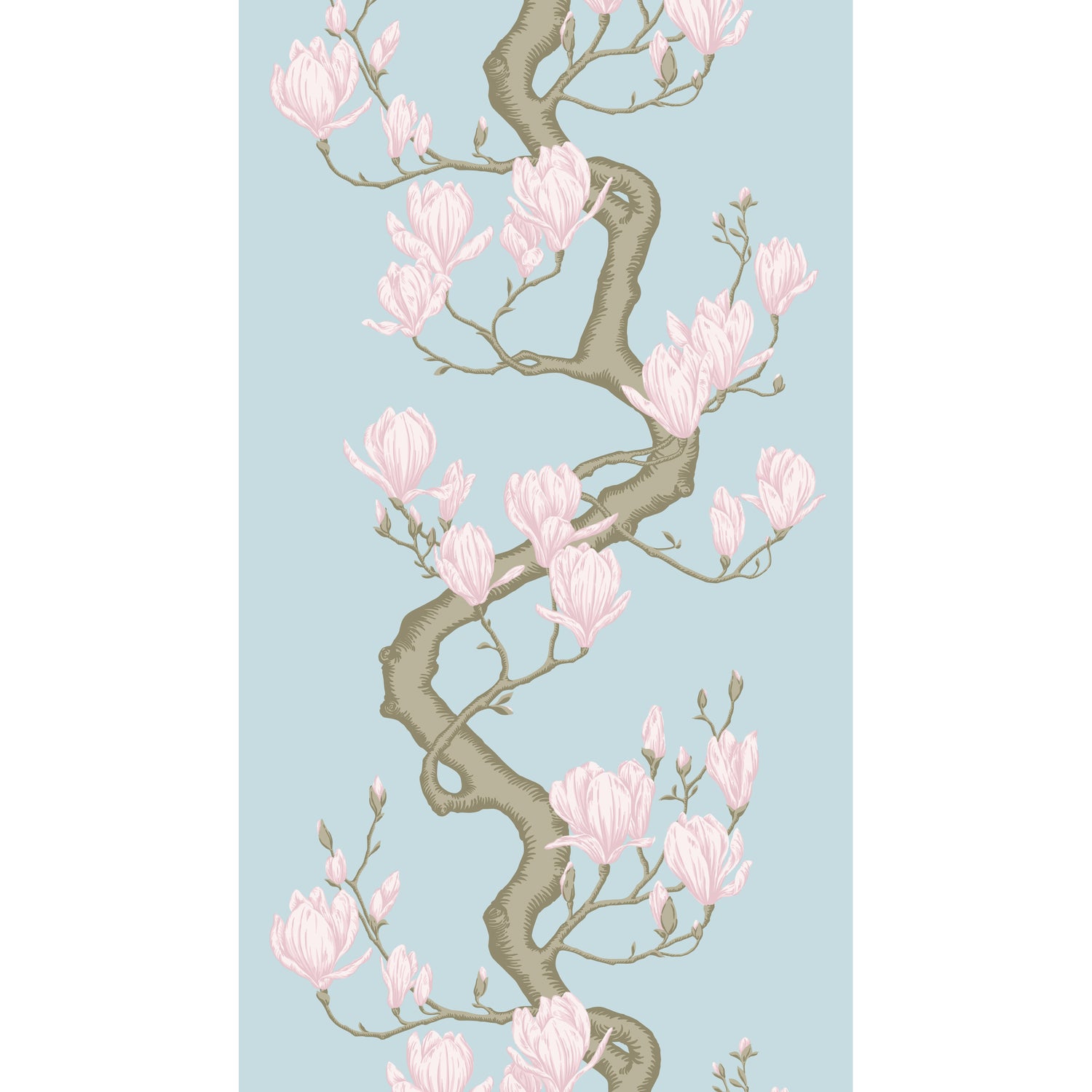 Magnolia Tree Wallpaper in sky blue color - pattern number 128/1004.CS.0 - by Cole and Son in the Classics Vol II collection