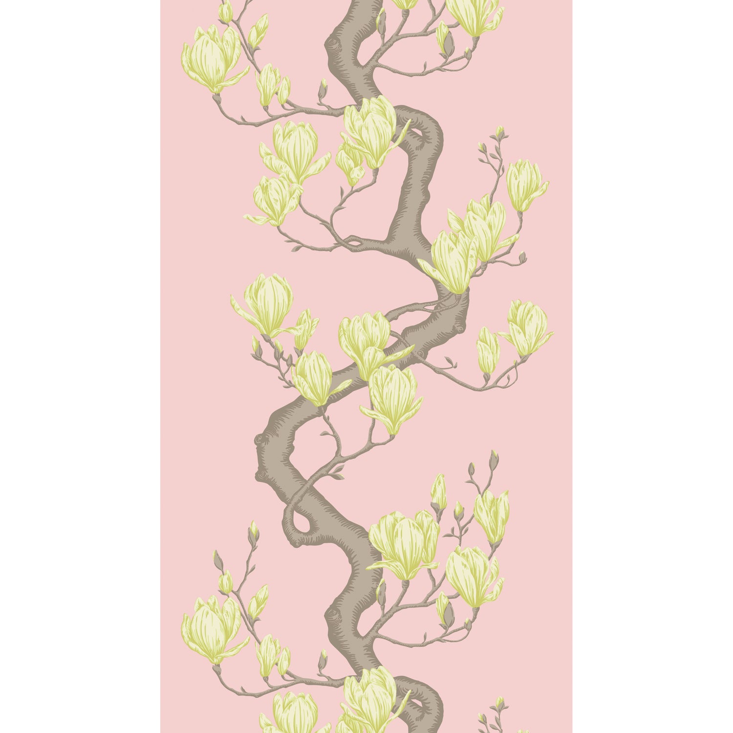 Magnolia Tree Wallpaper in rose pink color - pattern number 128/1005.CS.0 - by Cole and Son in the Classics Vol II collection