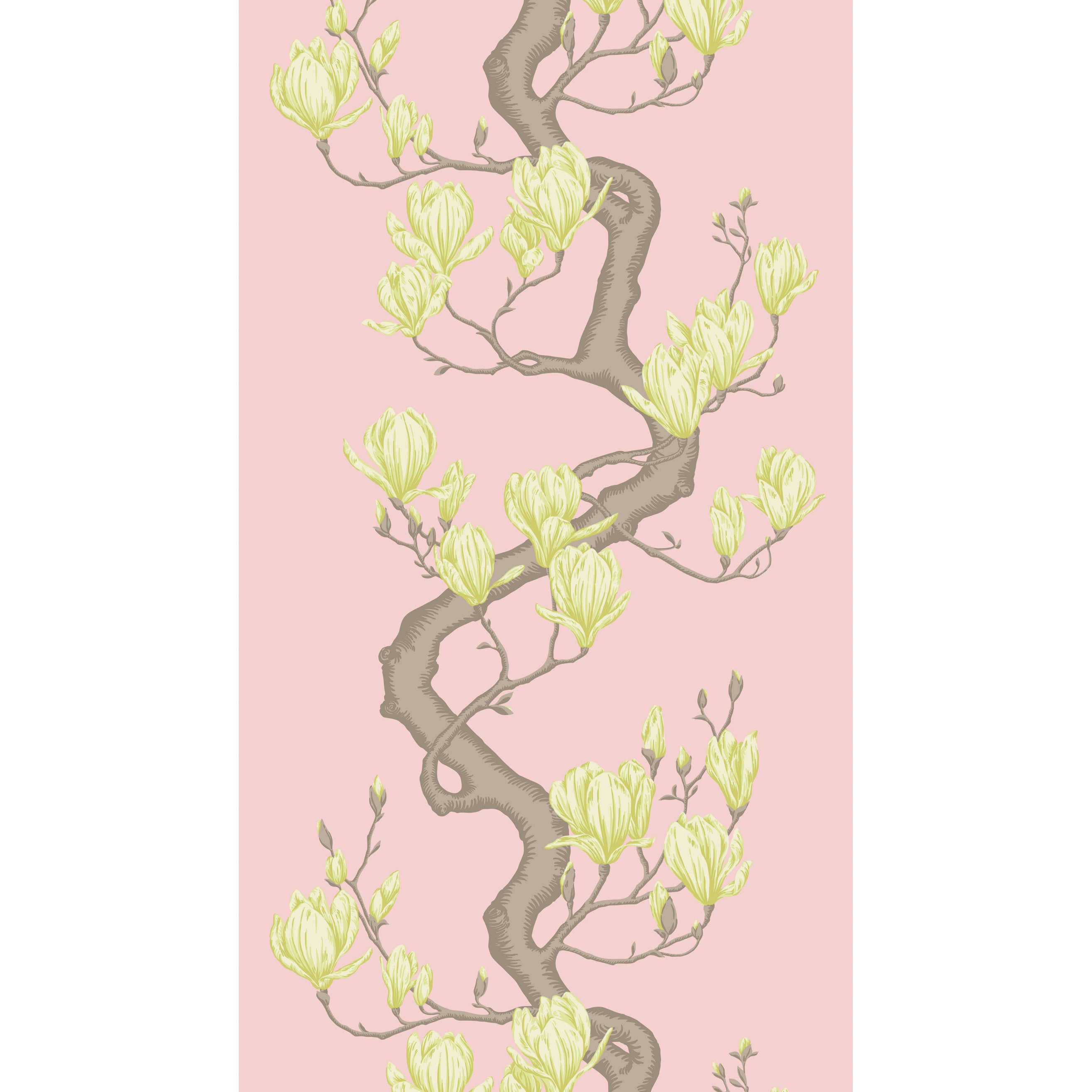 Magnolia Tree Wallpaper in rose pink color - pattern number 128/1005.CS.0 - by Cole and Son in the Classics Vol II collection