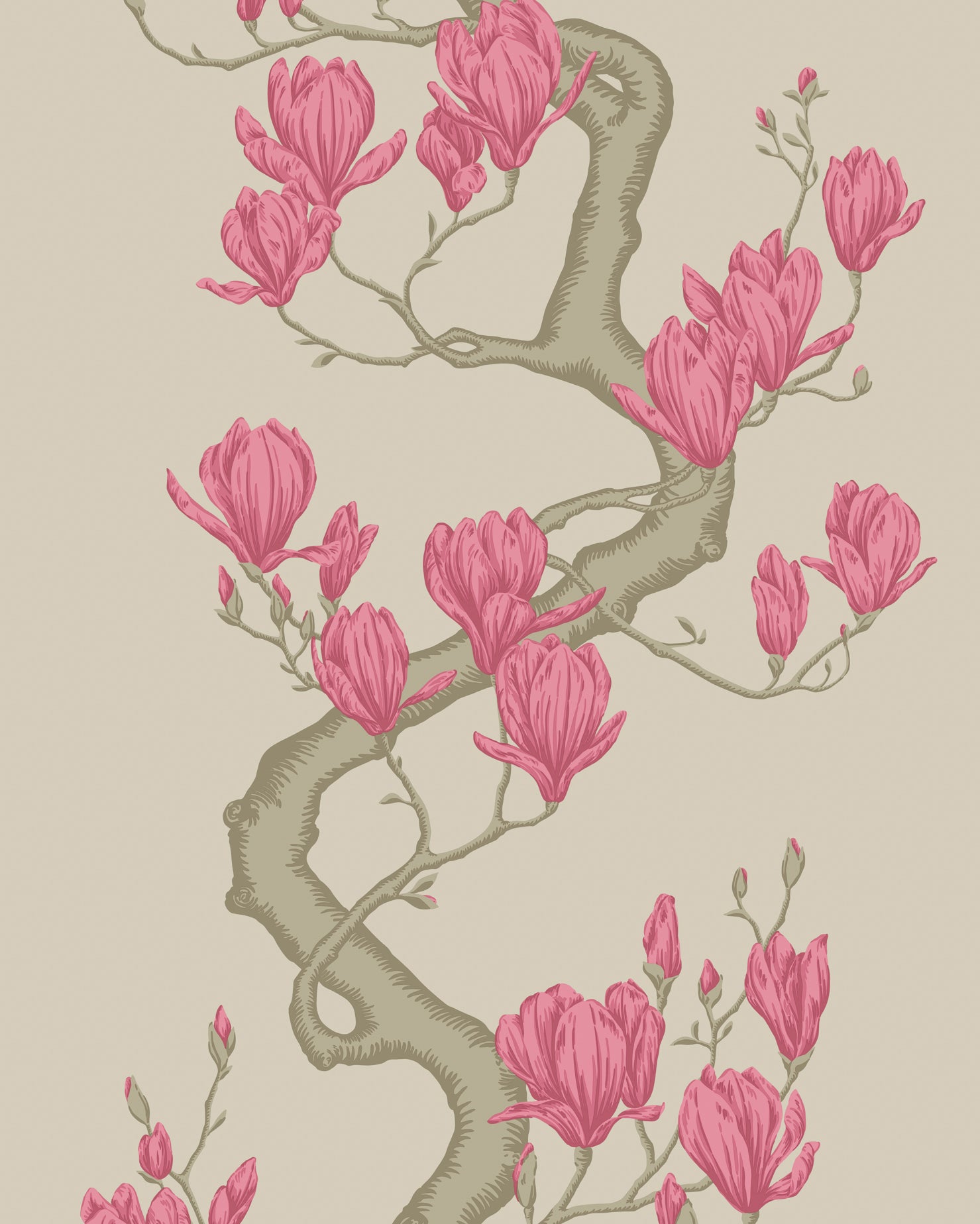 Magnolia Tree Wallpaper in magenta color - pattern number 128/1006.CS.0 - by Cole and Son in the Classics Vol II collection