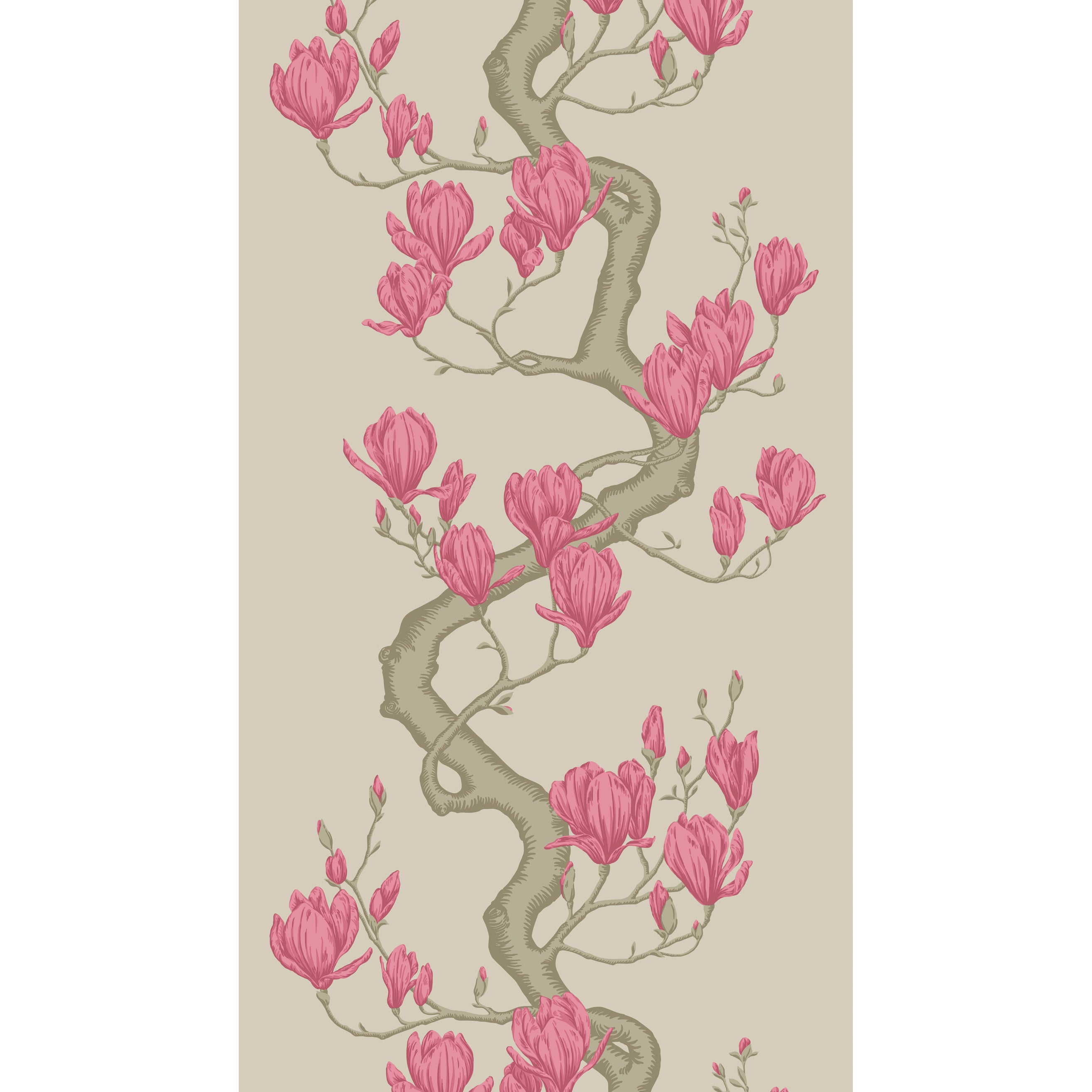 Magnolia Tree Wallpaper in magenta color - pattern number 128/1006.CS.0 - by Cole and Son in the Classics Vol II collection