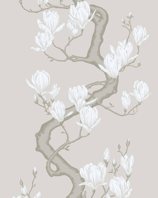 Magnolia Tree Wallpaper in non slub color - pattern number 128/1008S.CS.0 - by Cole and Son in the Classics Vol II collection