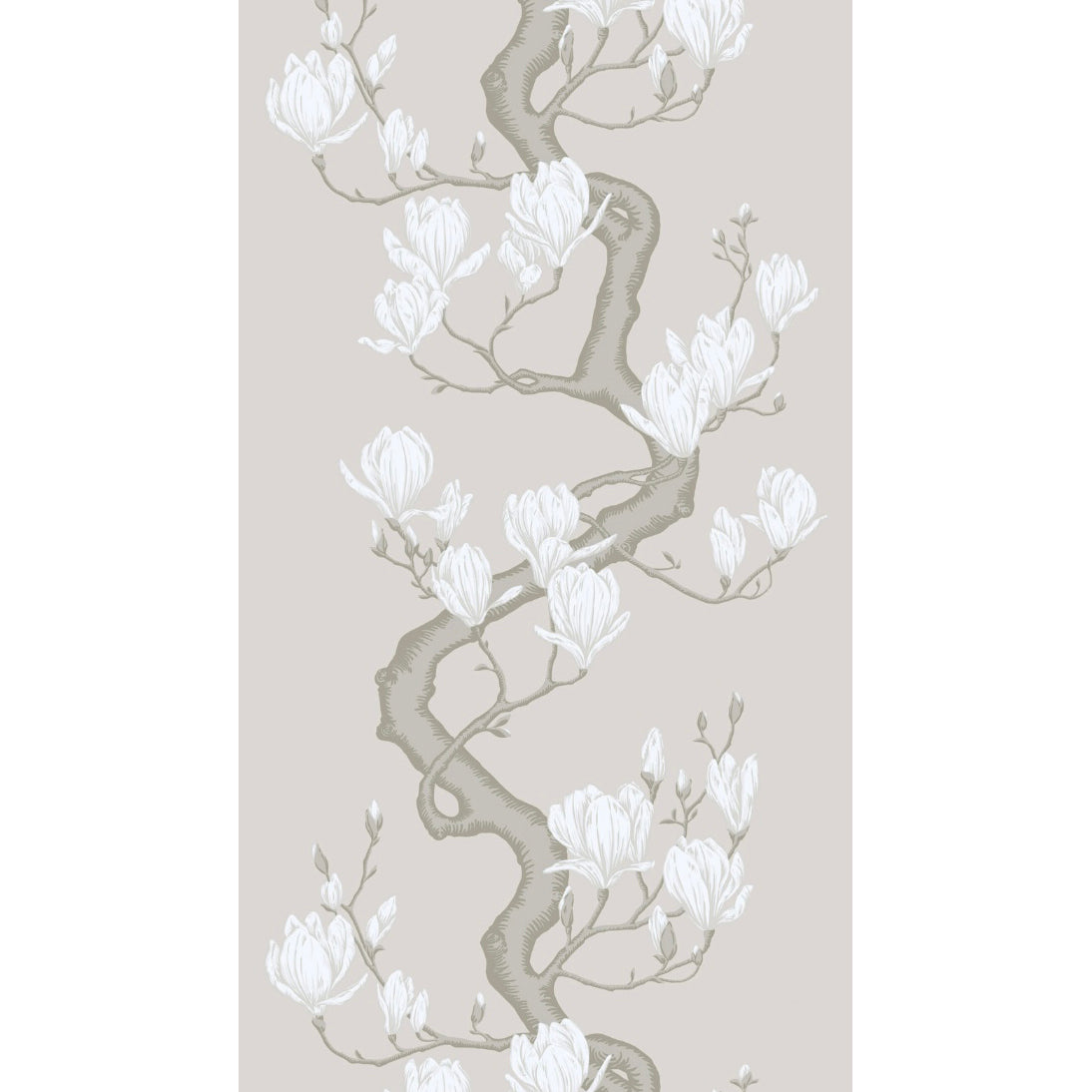 Magnolia Tree Wallpaper in non slub color - pattern number 128/1008S.CS.0 - by Cole and Son in the Classics Vol II collection