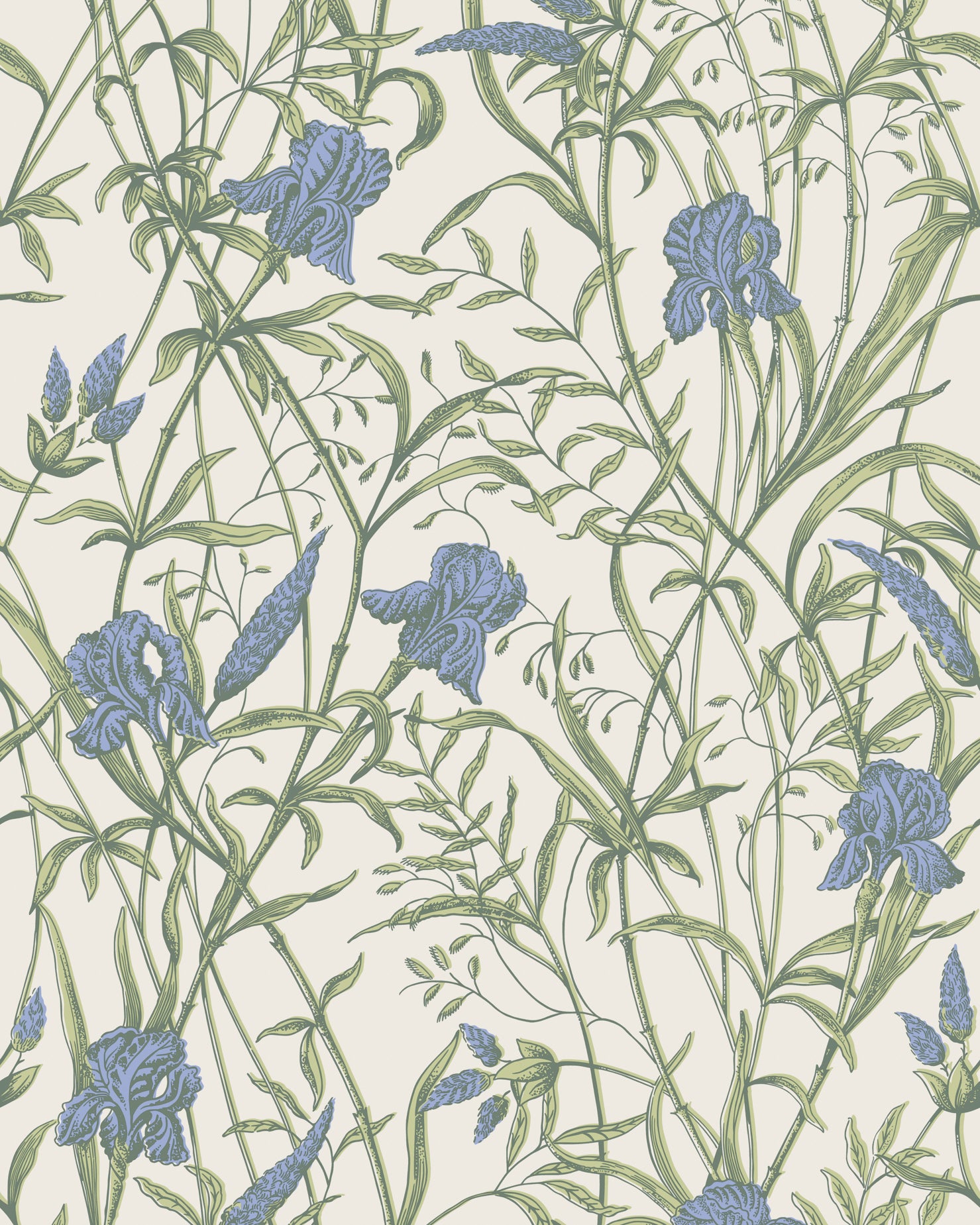 Iris Wallpaper in iris blue on stone color - pattern number 128/5023.CS.0 - by Cole and Son in the Classics Vol II collection