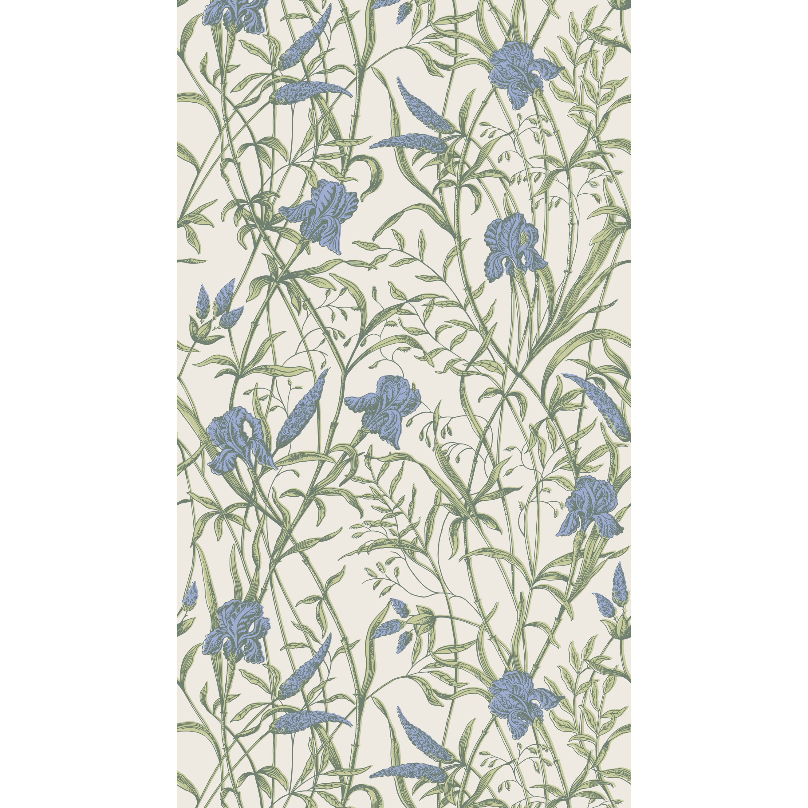 Iris Wallpaper in iris blue on stone color - pattern number 128/5023.CS.0 - by Cole and Son in the Classics Vol II collection