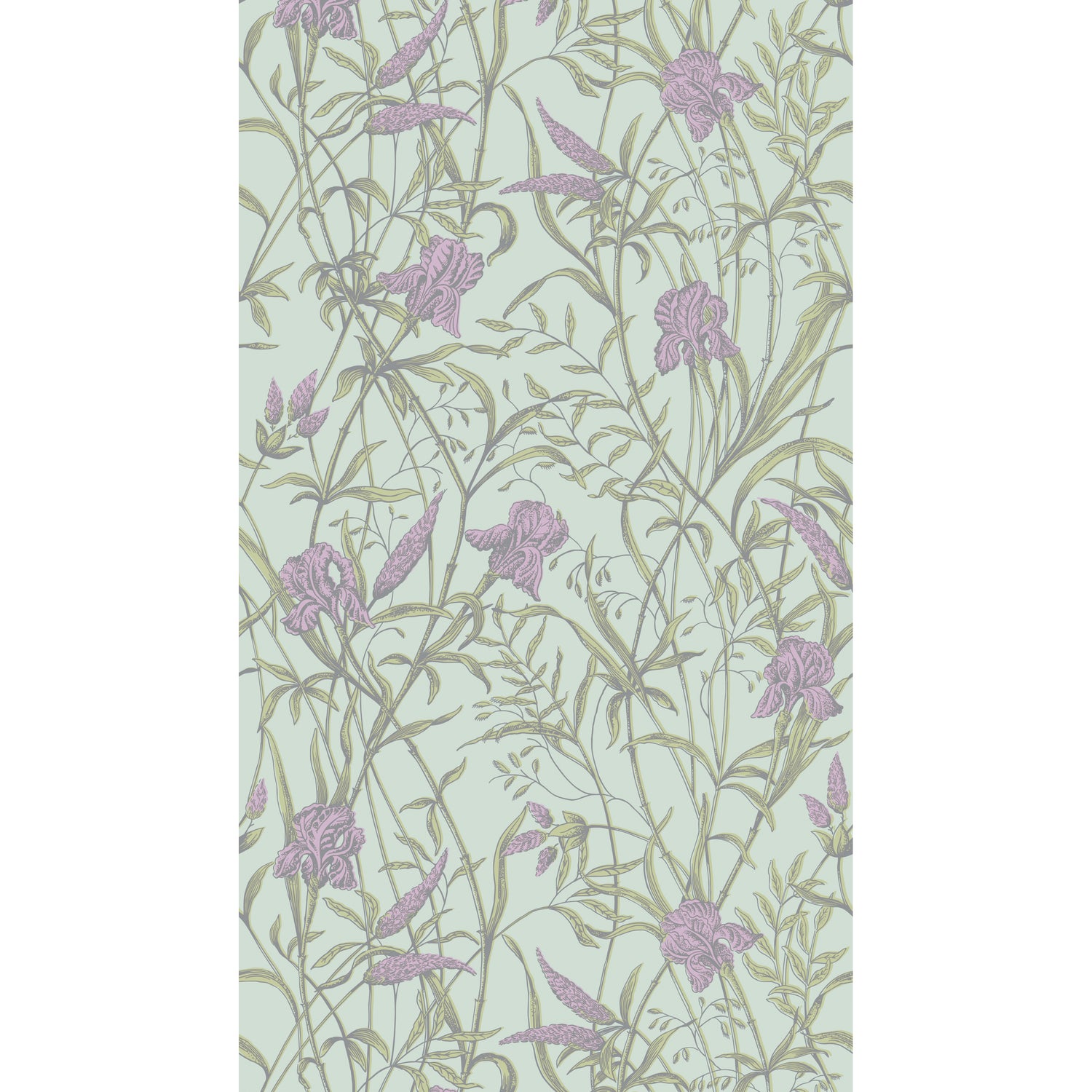 Iris Wallpaper in lavender on duck egg color - pattern number 128/5024.CS.0 - by Cole and Son in the Classics Vol II collection