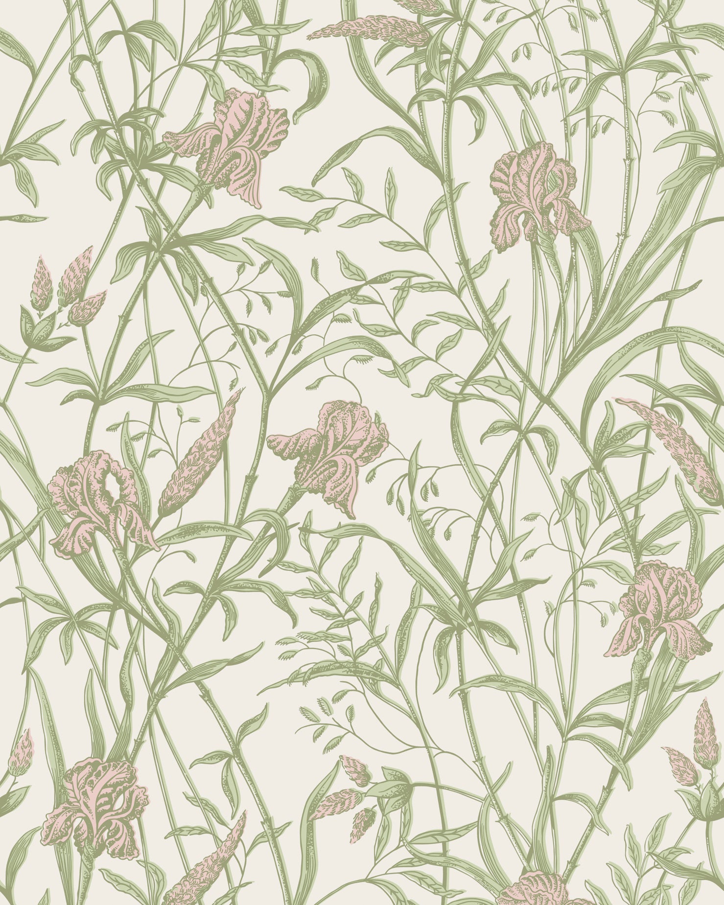 Iris Wallpaper in soft coral on chalk color - pattern number 128/5025.CS.0 - by Cole and Son in the Classics Vol II collection