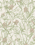 Iris Wallpaper in soft coral on chalk color - pattern number 128/5025.CS.0 - by Cole and Son in the Classics Vol II collection