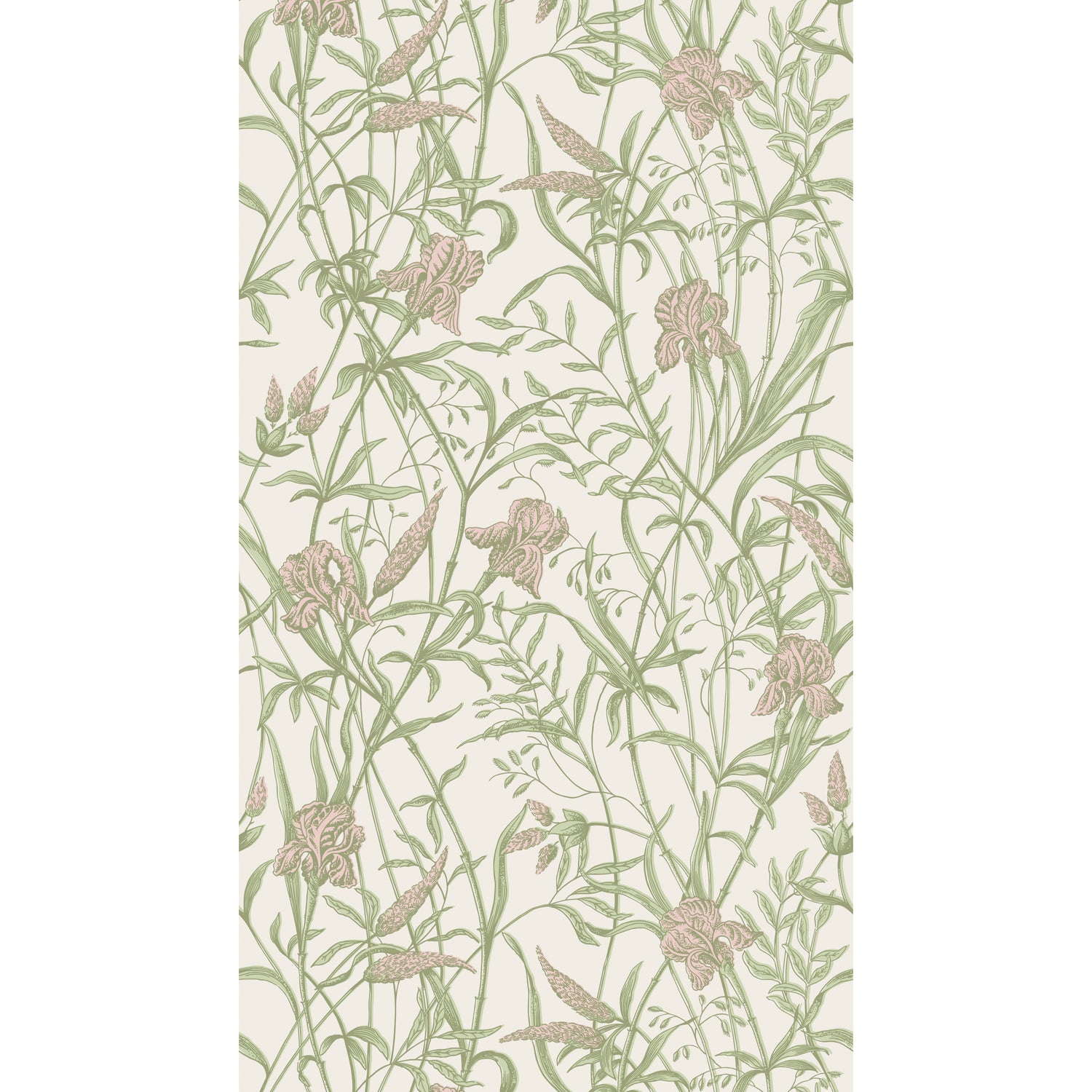 Iris Wallpaper in soft coral on chalk color - pattern number 128/5025.CS.0 - by Cole and Son in the Classics Vol II collection