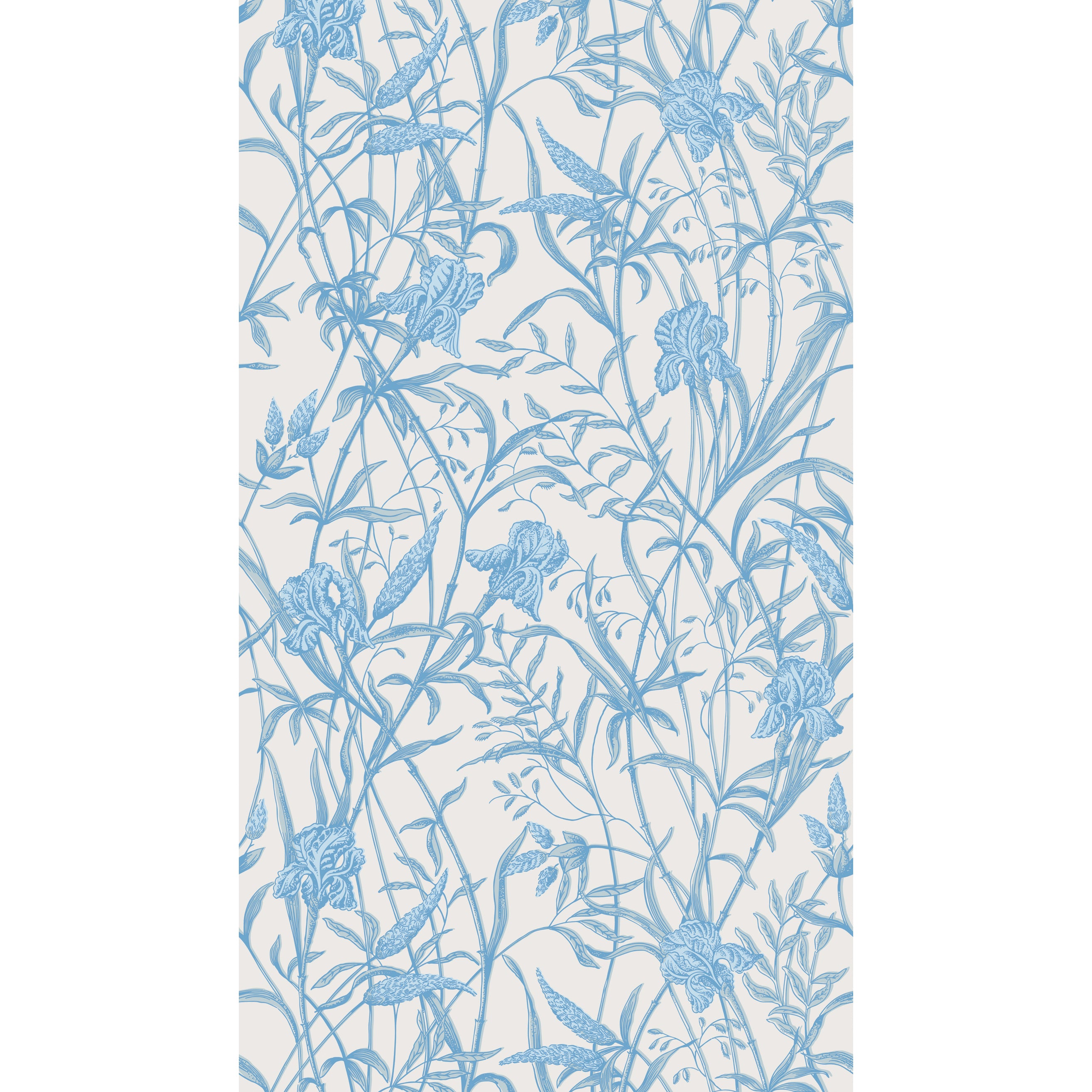 Iris Wallpaper in soft cerulean color - pattern number 128/5026.CS.0 - by Cole and Son in the Classics Vol II collection