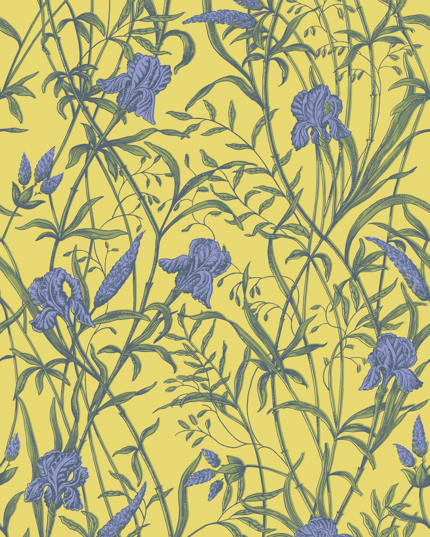 Iris Wallpaper in violet on citrine color - pattern number 128/5027.CS.0 - by Cole and Son in the Classics Vol II collection