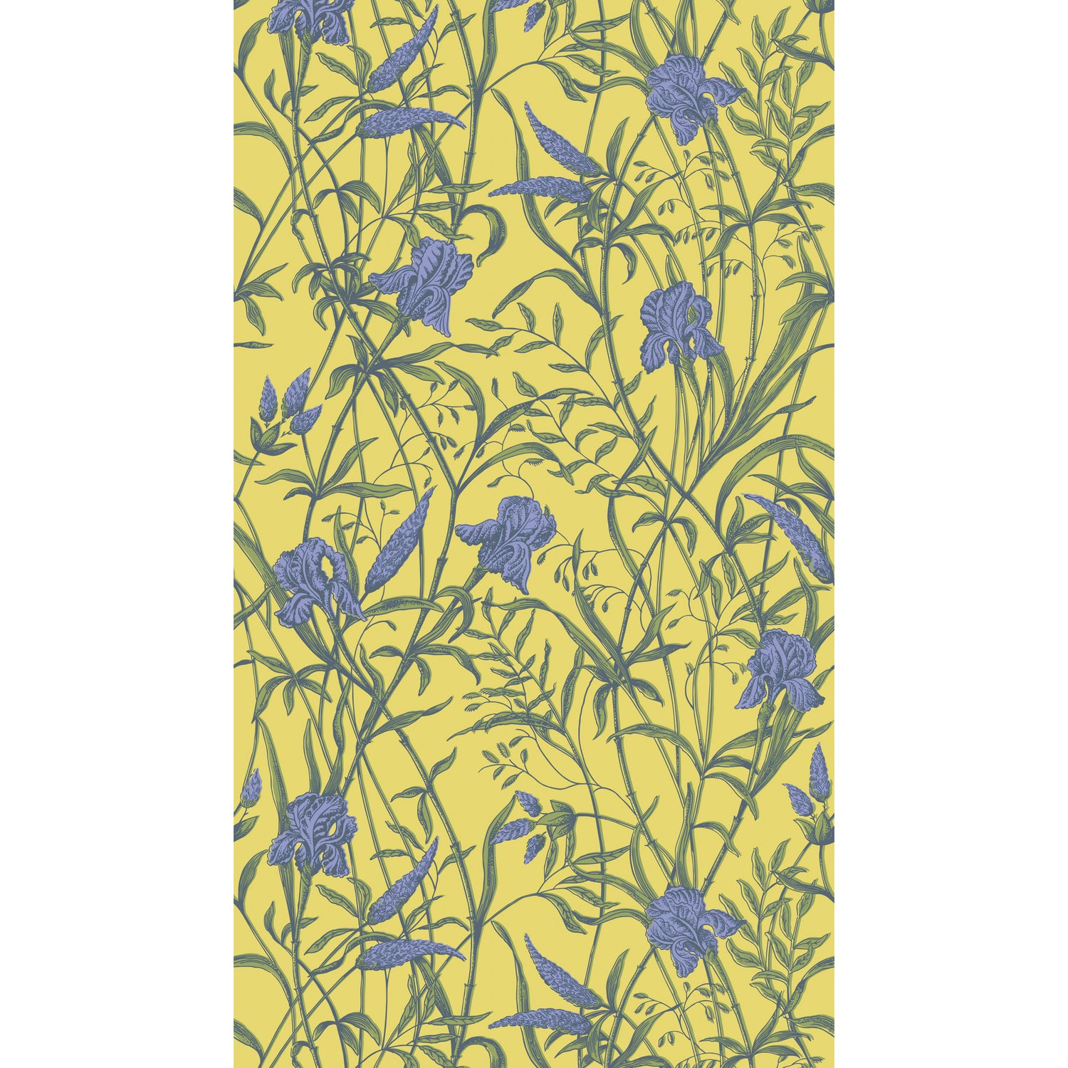 Iris Wallpaper in violet on citrine color - pattern number 128/5027.CS.0 - by Cole and Son in the Classics Vol II collection