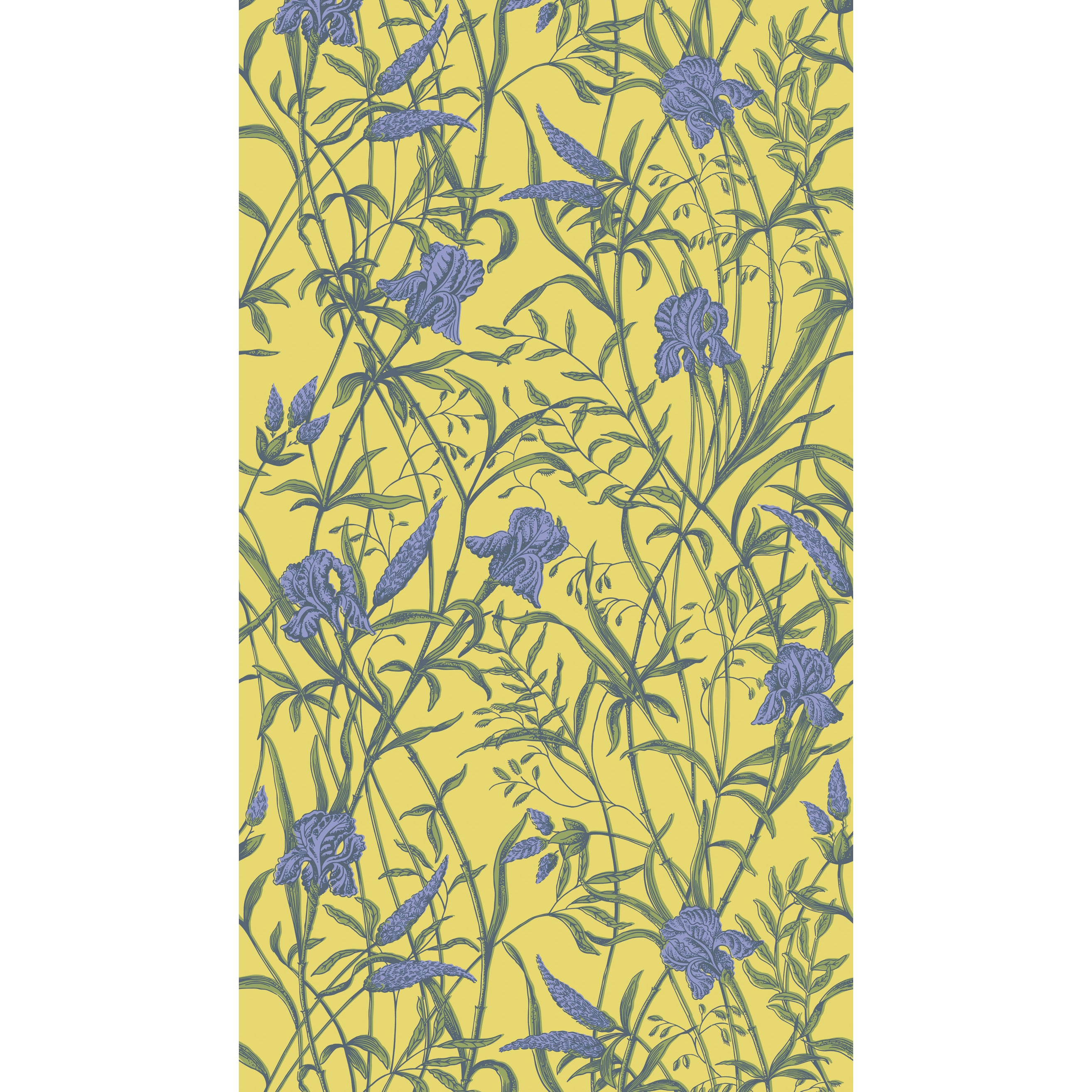Iris Wallpaper in violet on citrine color - pattern number 128/5027.CS.0 - by Cole and Son in the Classics Vol II collection