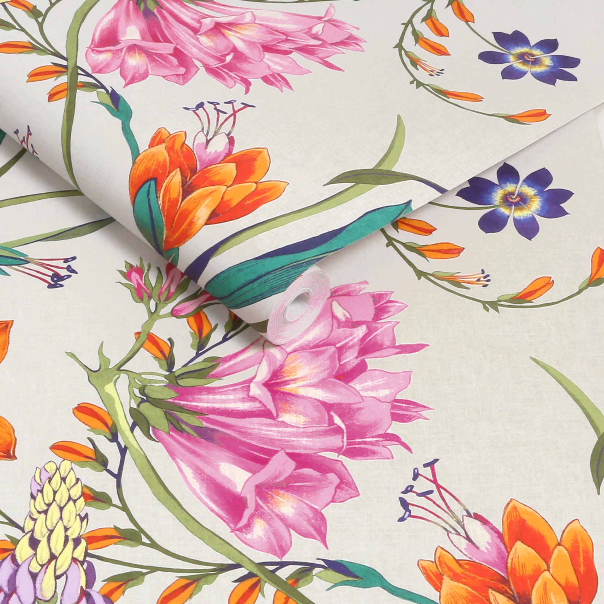Botanists Scroll Wallpaper in viviant color - pattern number 130295 - by Graham and Brown in the 2025 Exclusives collection