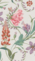Botanists Scroll Wallpaper in pink color - pattern number 130296 - by Graham and Brown in the 2025 Exclusives collection