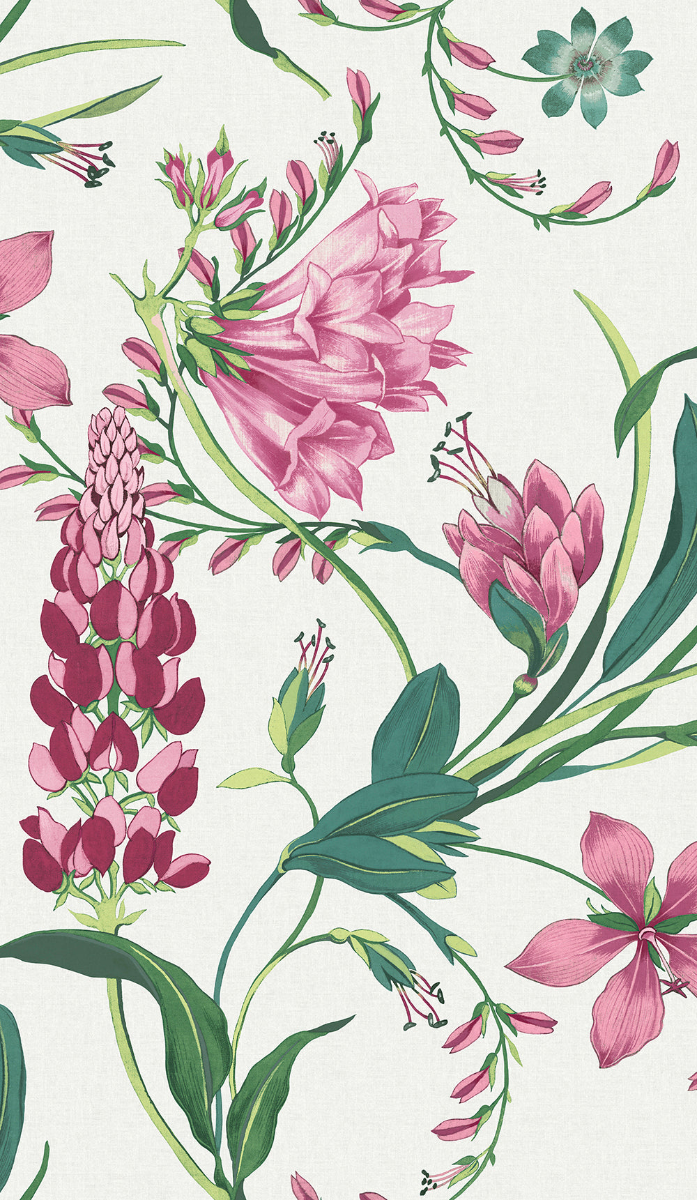 Botanists Scroll Wallpaper in mauve color - pattern number 130297 - by Graham and Brown in the 2025 Exclusives collection